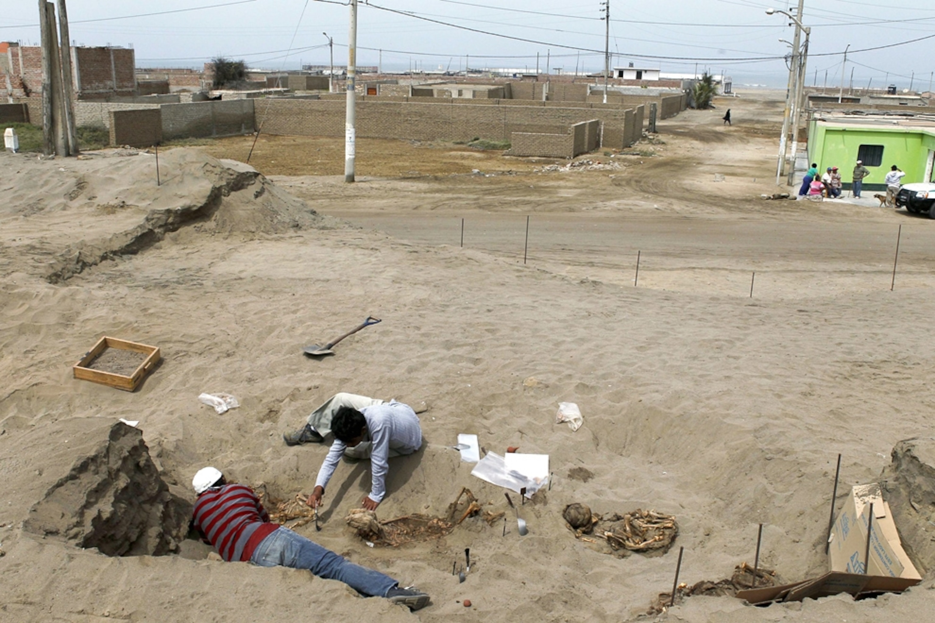 Child sacrifice picture: Chimu victims found in Peru with llamas