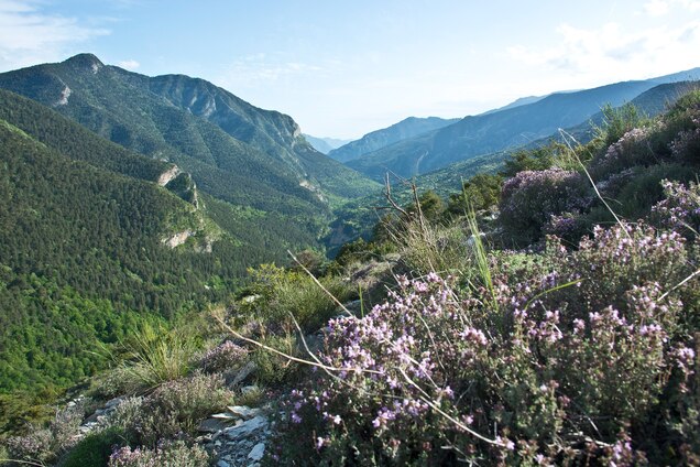 Mercantour National Park Visit The Unsung Side Of The French Riviera