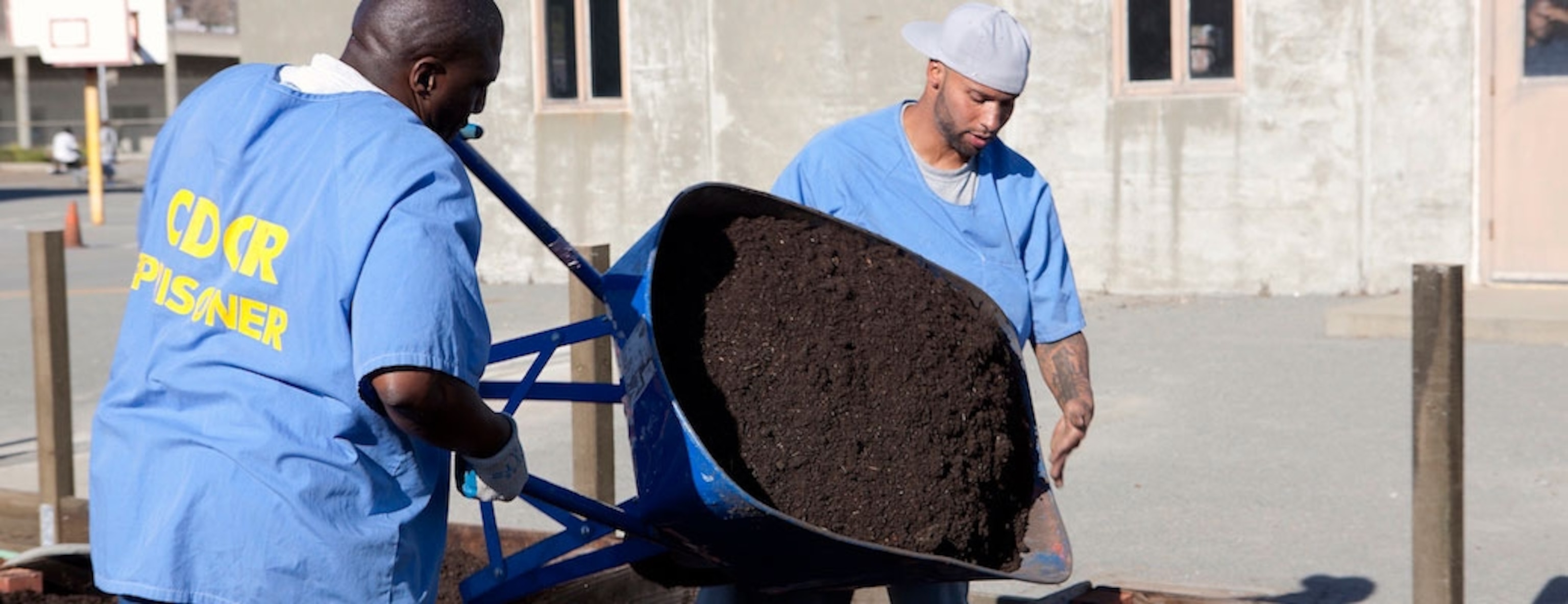 Prisoners dump fresh dirt. Photograph courtesy the XX.