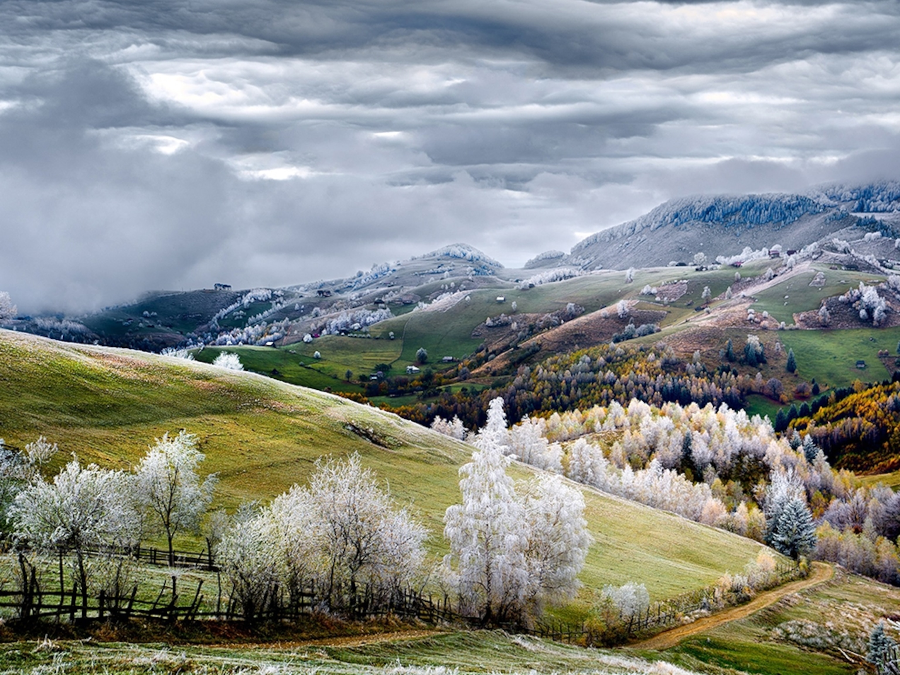rolling hills covered in hoarfrost, Pestera, Romania