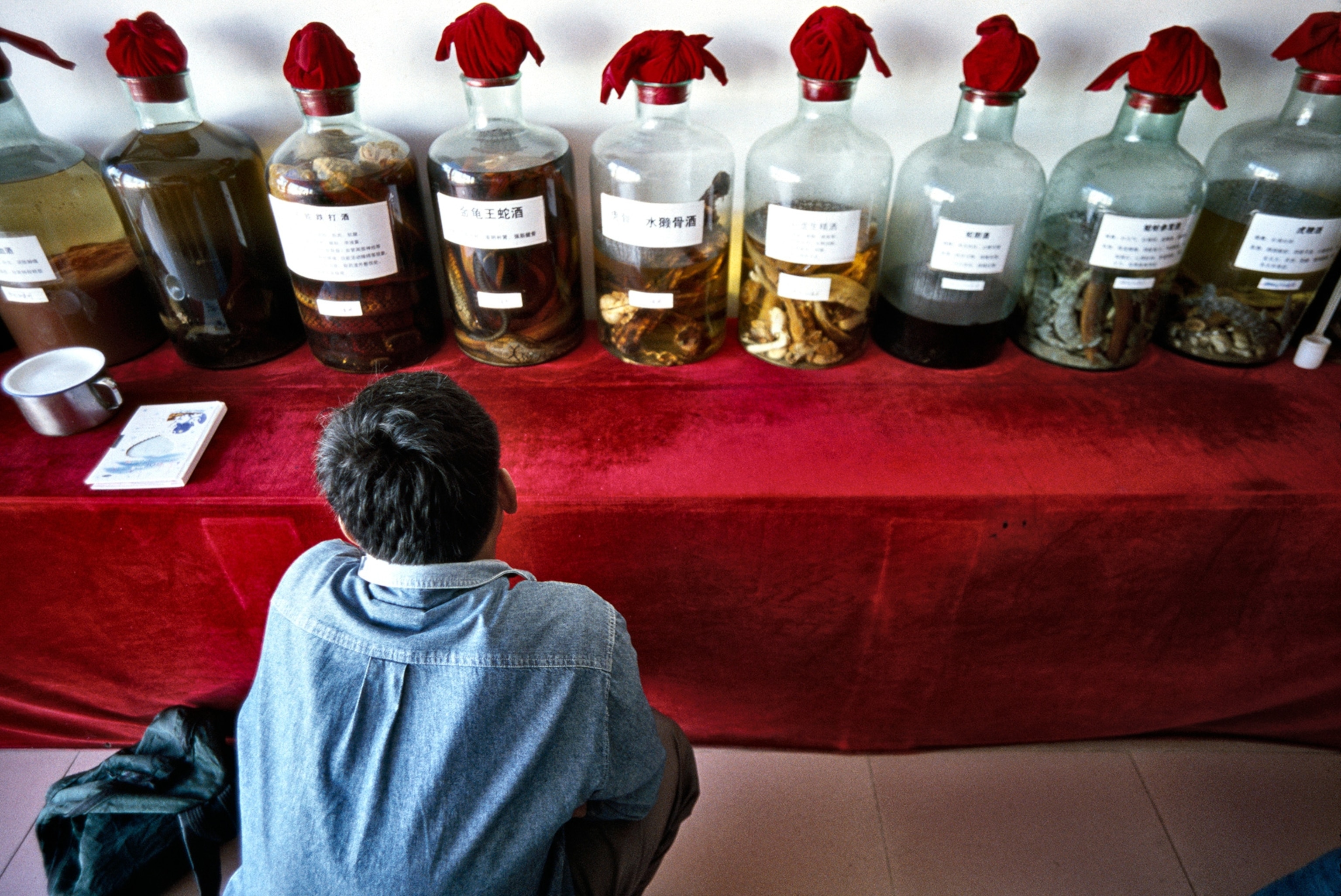 tiger bone wine, snake wine and tonics made from lizards