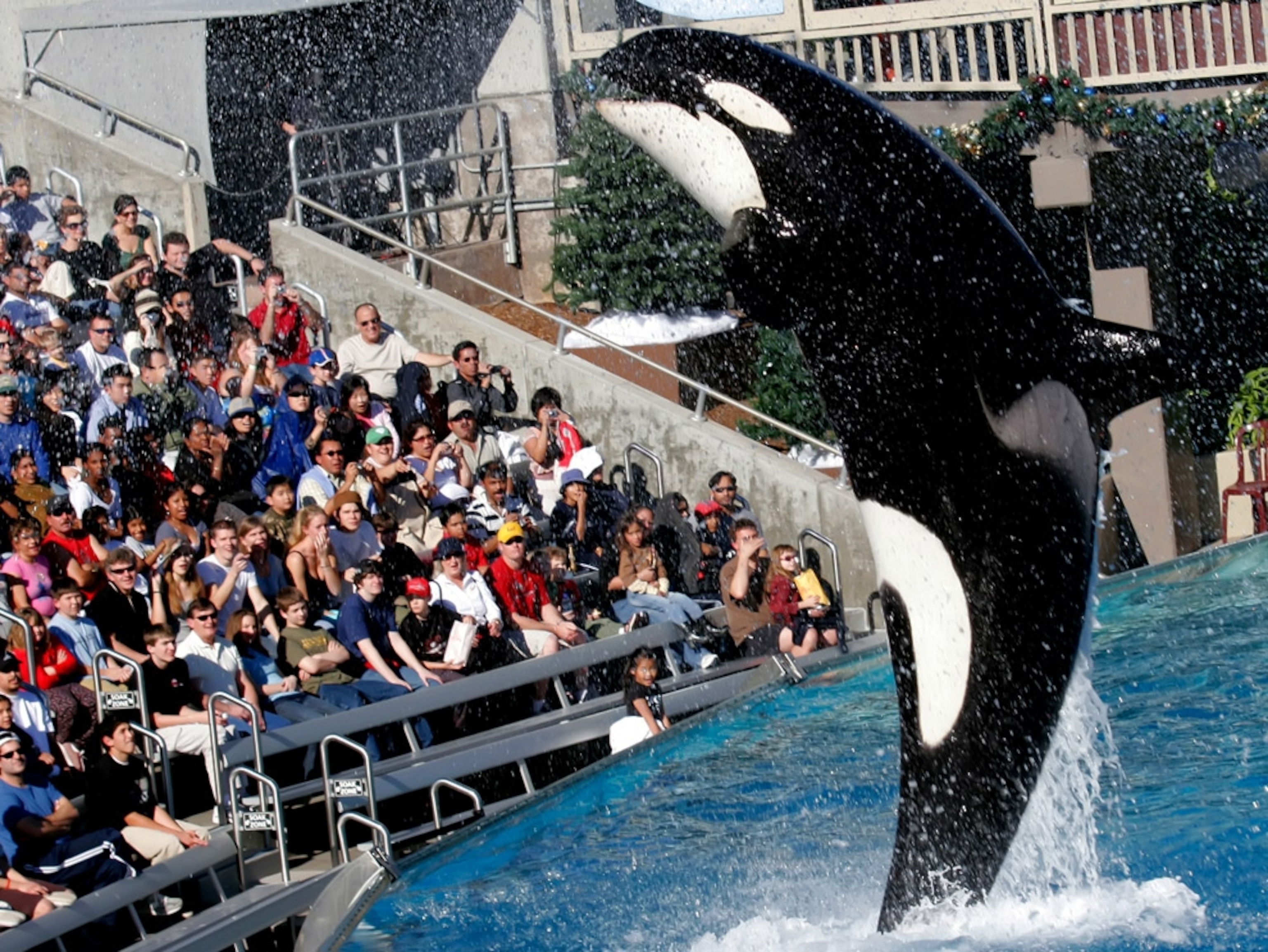 SeaWorld's Shamu Stadium