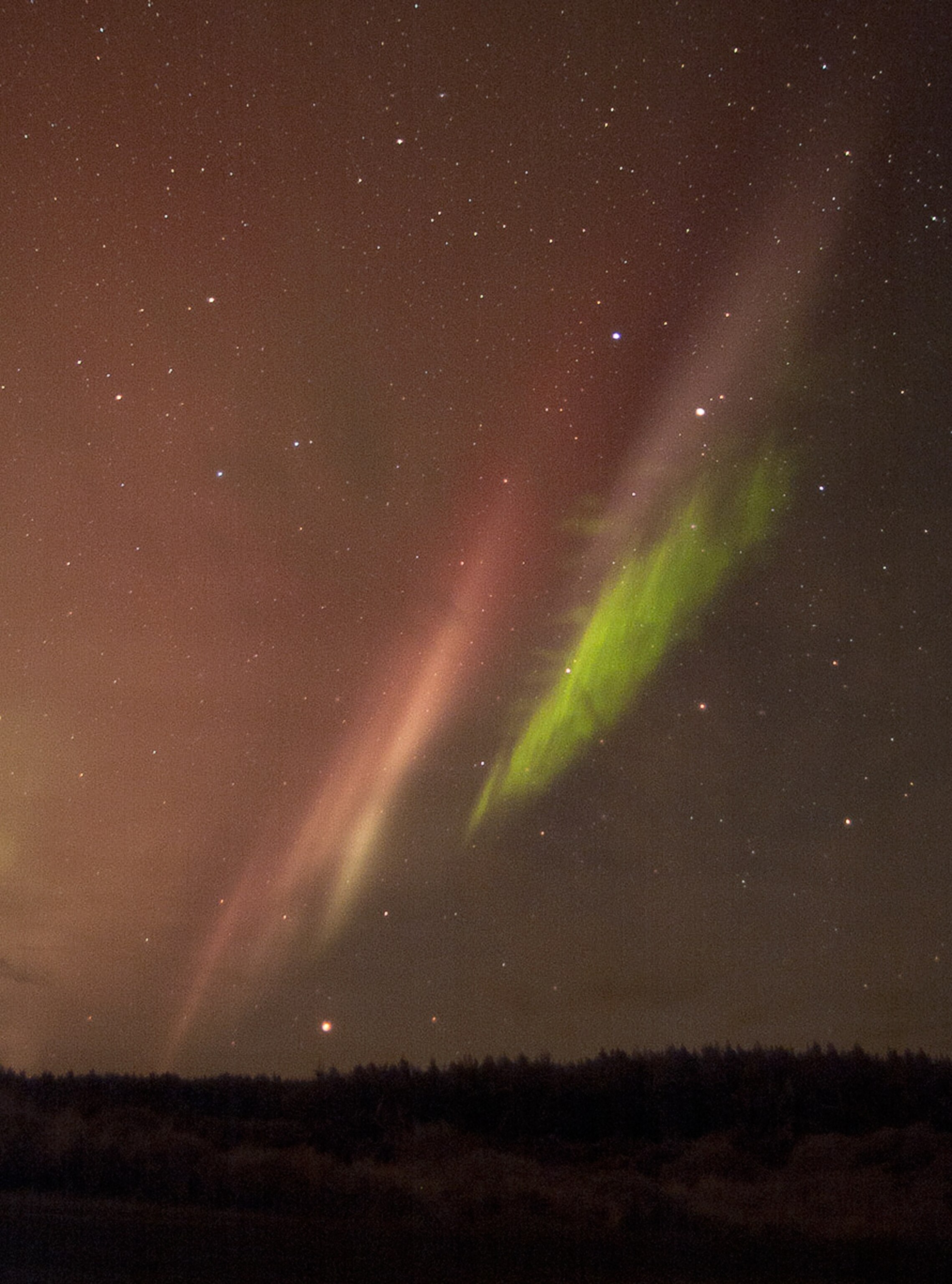 Aurora picture: southern lights over New Zealand