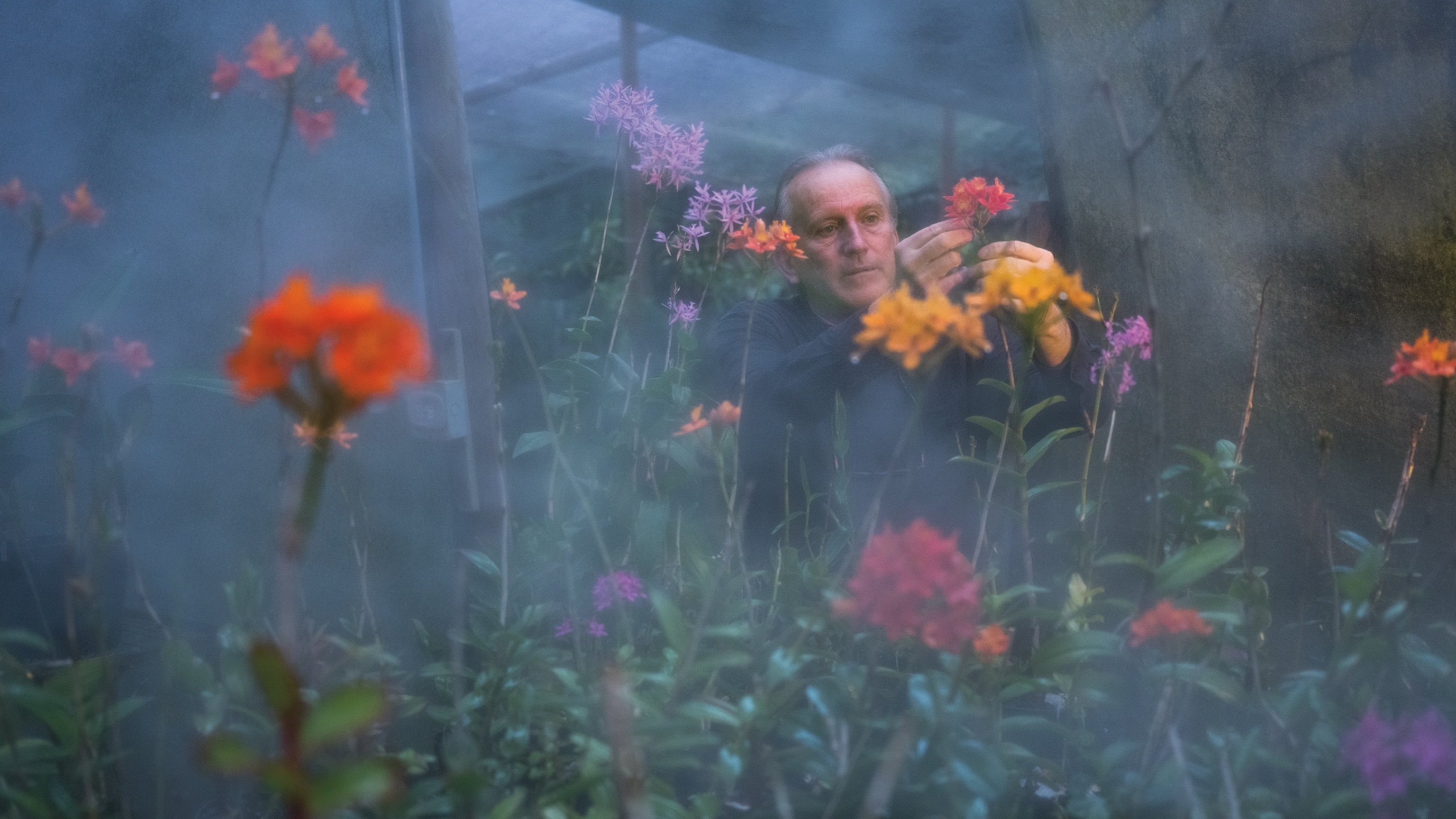 The Stunningly Beautiful Quest to Save the World’s Rarest Orchids