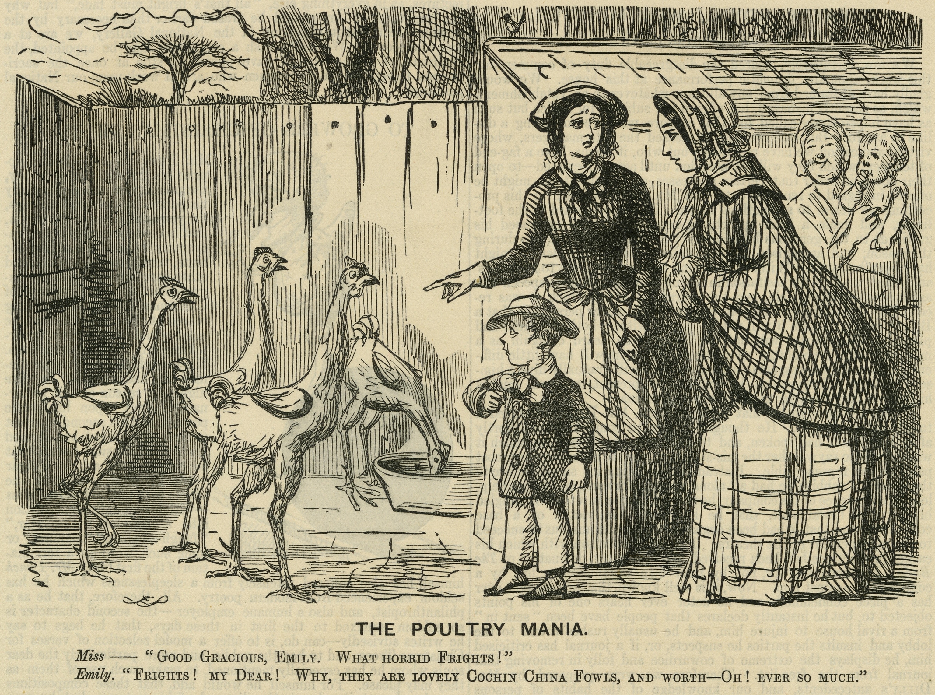Cartoon from ''Punch'', London, 1853, poking fun at the mania for the new large Cochin-China poultry. Photograph by Universal History Archive/UIG via Getty Images