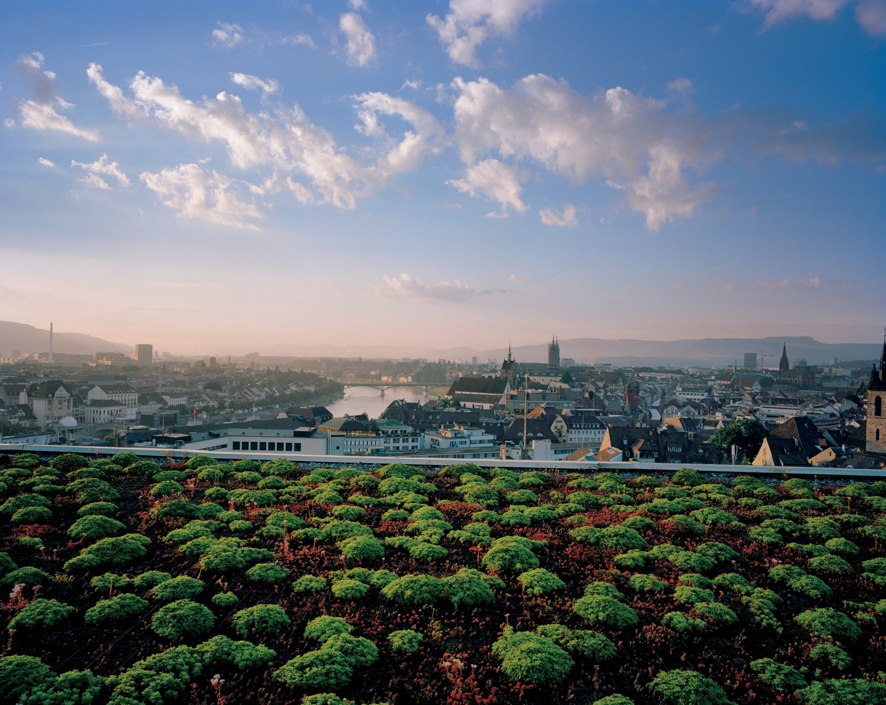 the green roof at a hospital in Basel, Switzerland