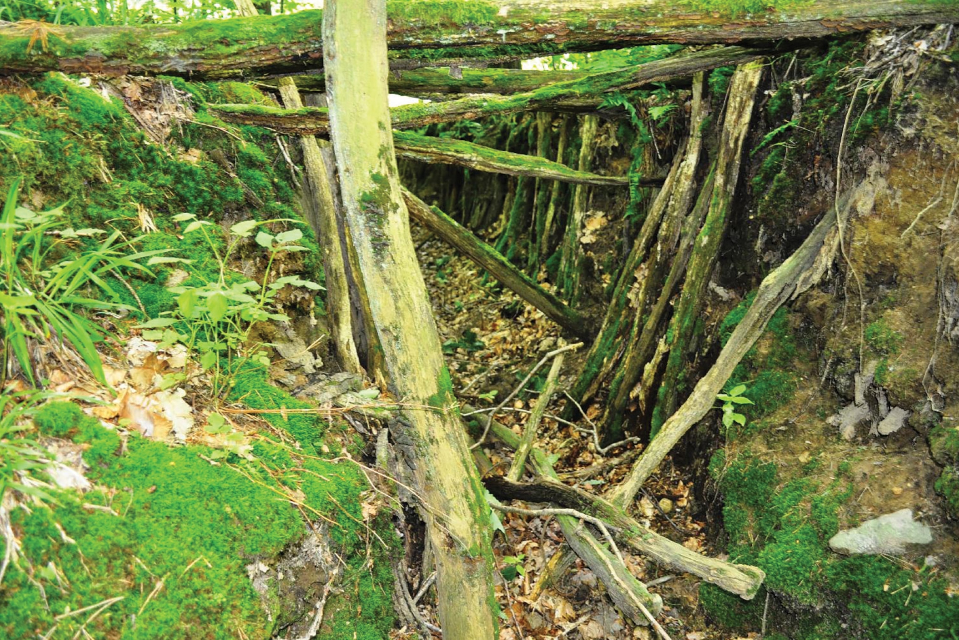 trenches at Templewo
