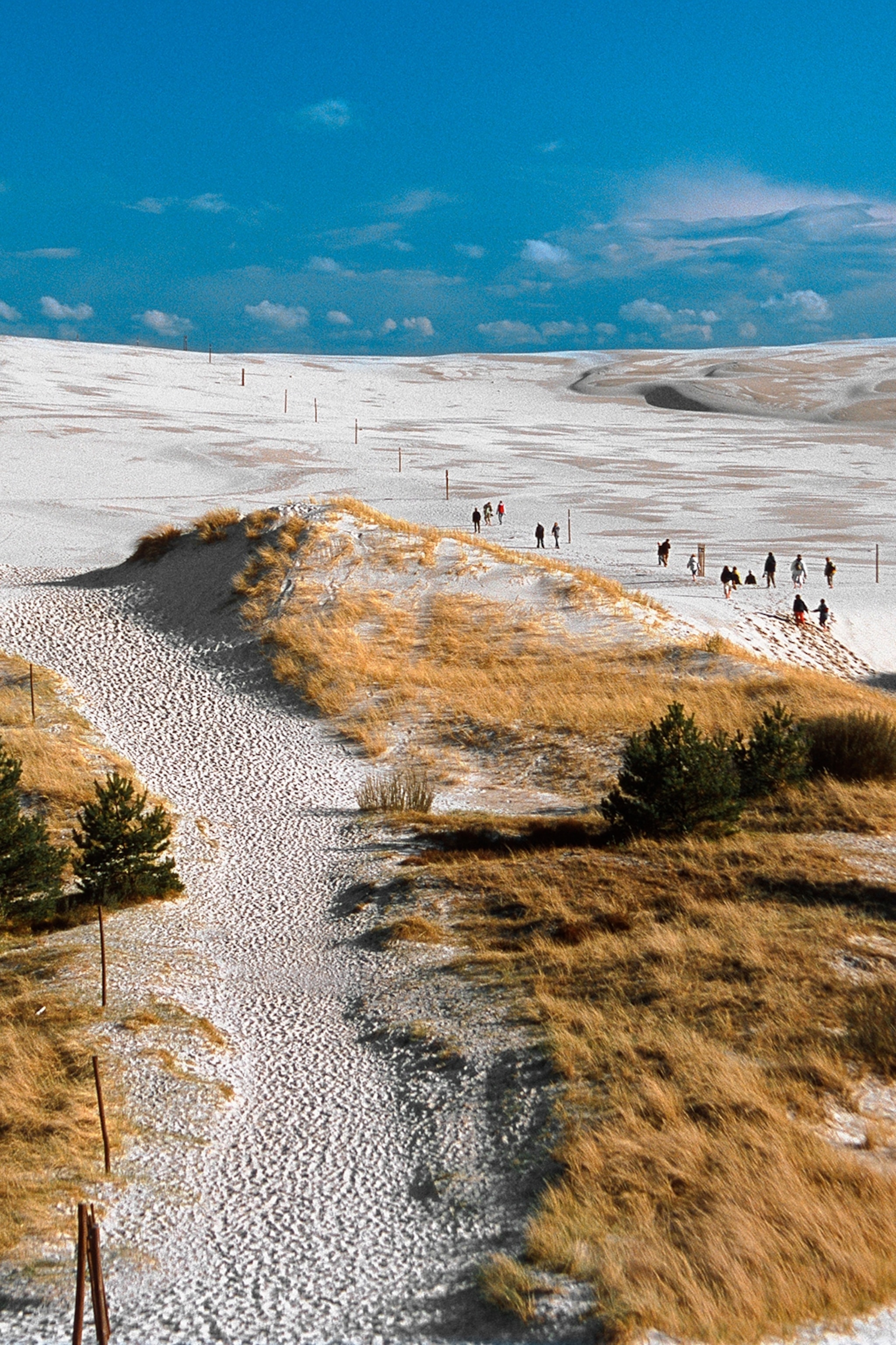 A wide-stretching, flat landscape with rolling sand dunes and a group of visitors dotted in between.
