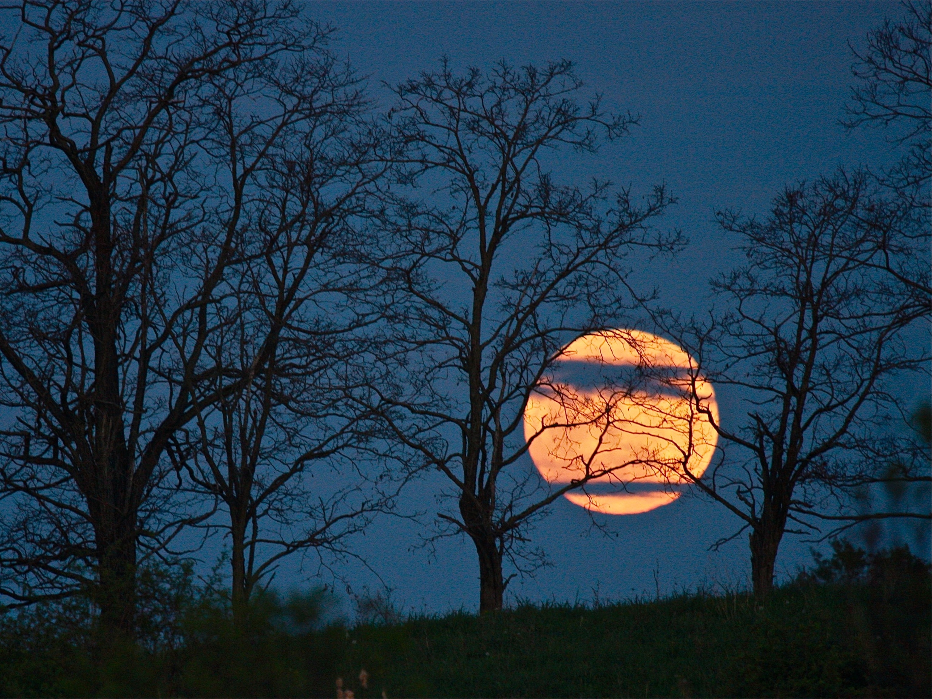 Supermoon picture: one of the week's best space pictures