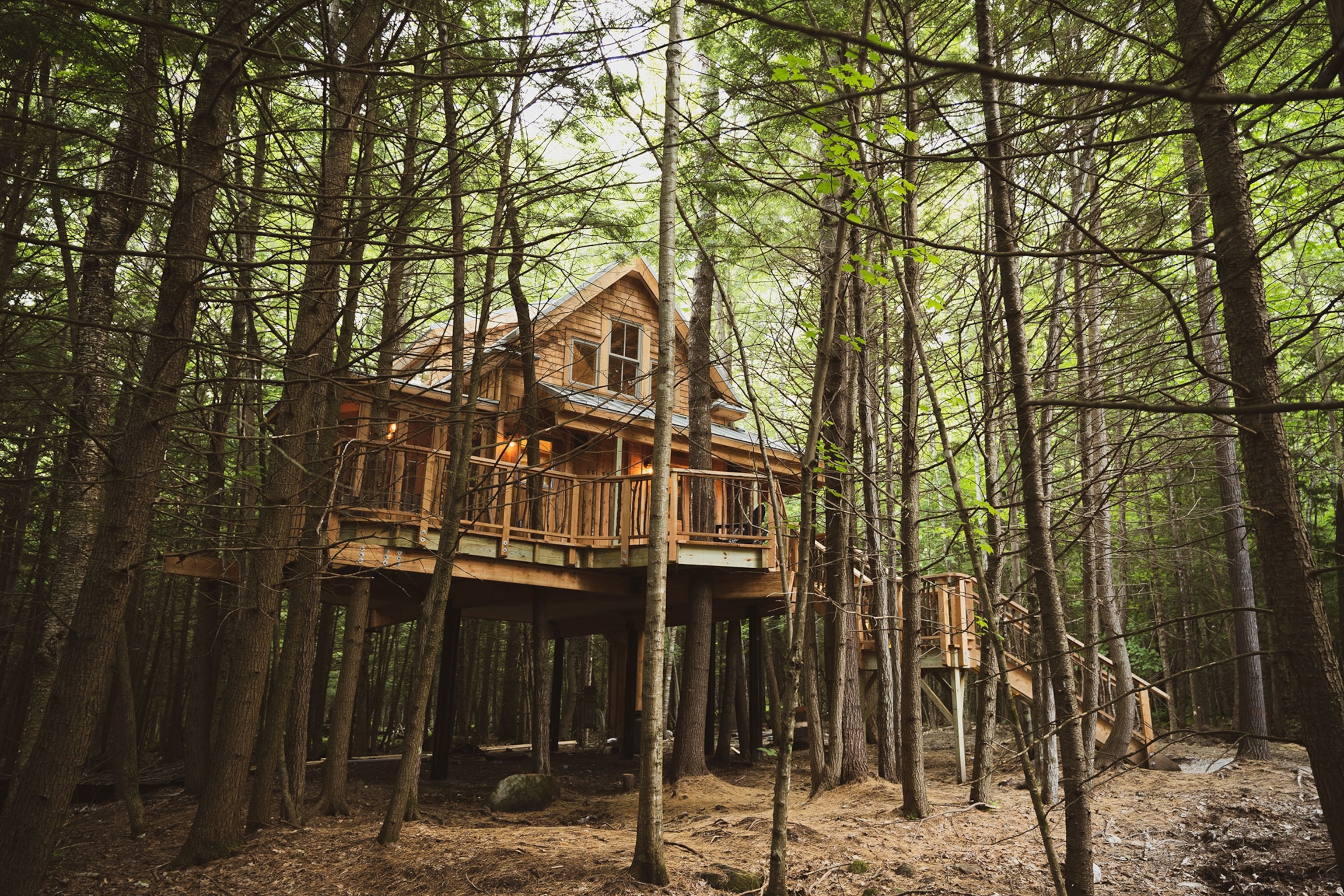 Treehouse Cabin in the Woods