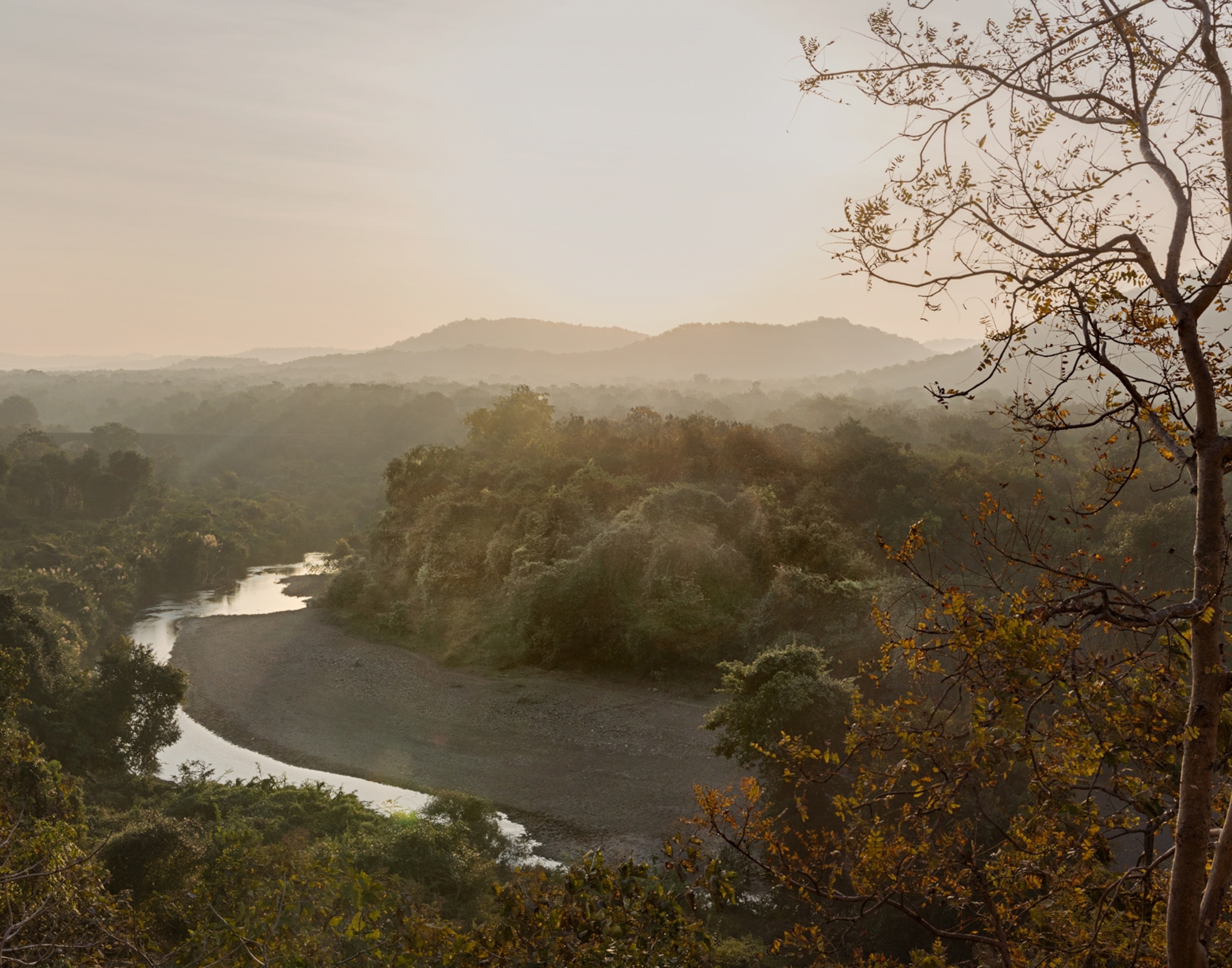 A view of a winding river through a forest landscape.
