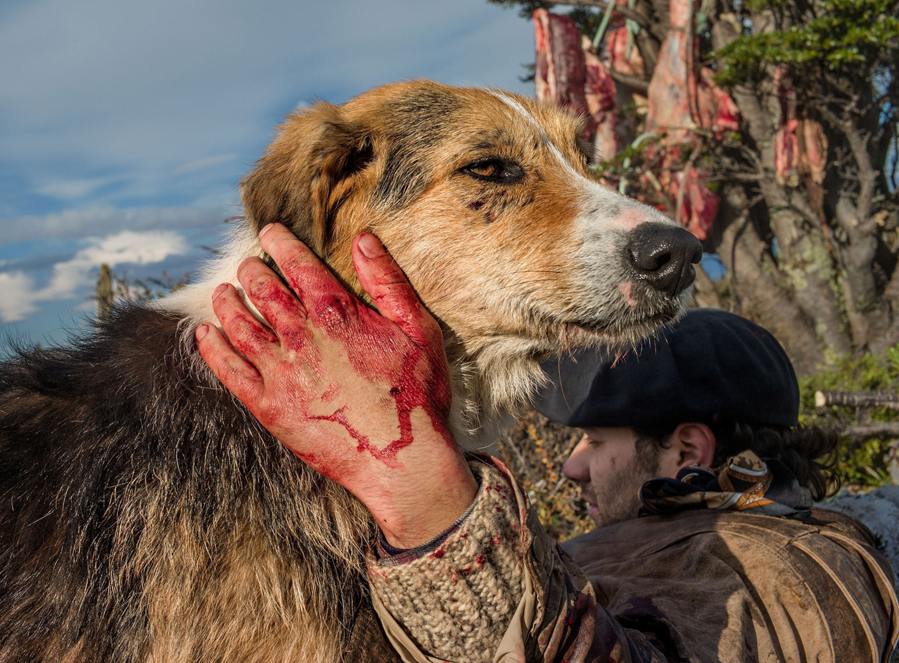 Sebastián García relaxes with his dog after roping a bull. The unequivocal brutality of rounding up feral livestock is offset by a deep tenderness between men and dogs. ''Without them we are nothing,'' he says.