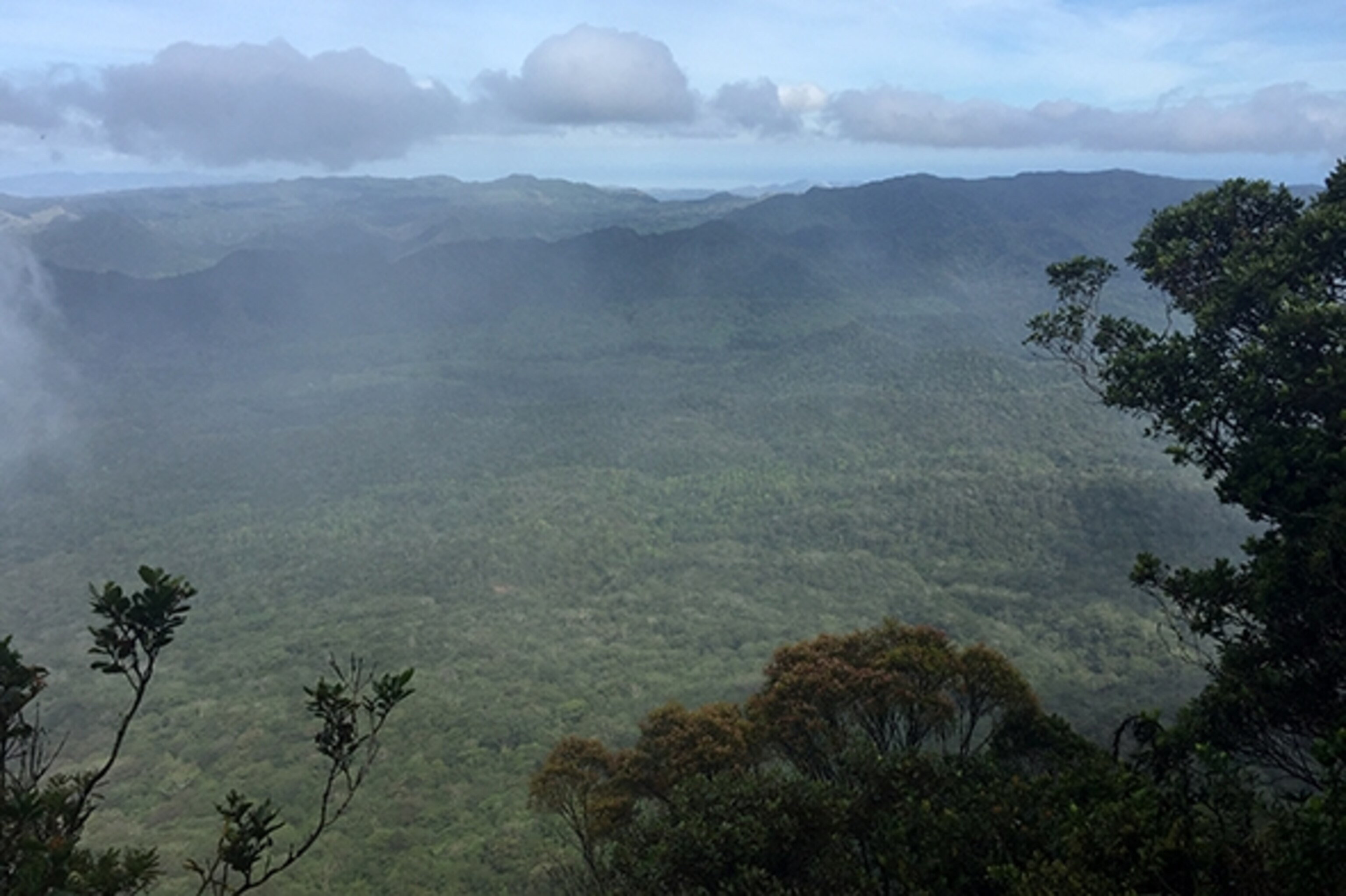 View from Tomanivi, Fiji's highest peak (Photograph by Hannah Sheinberg)