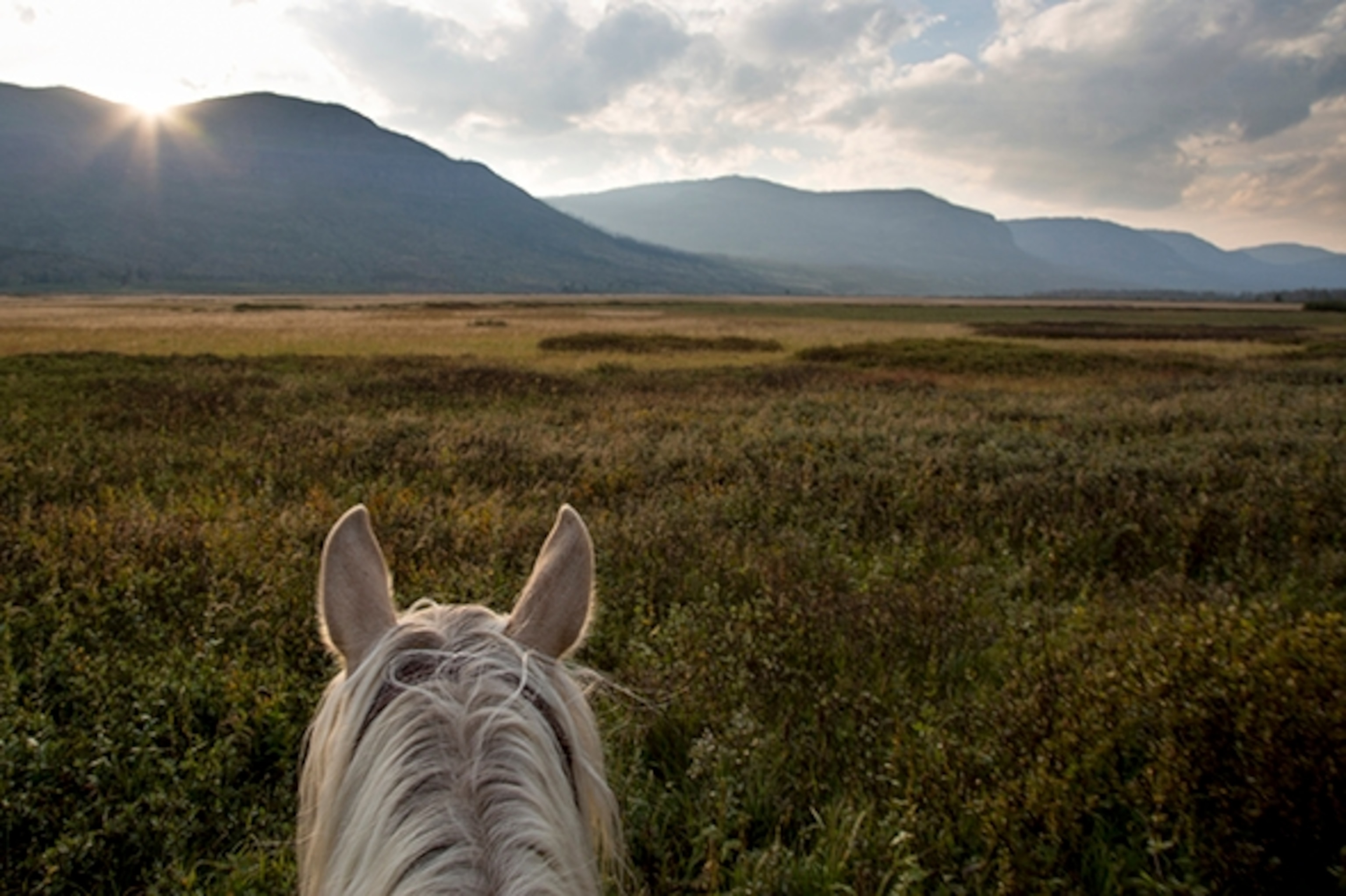 Mustang Luke deep in Yellowstone’s Backcountry; Photograph by Ben Masters