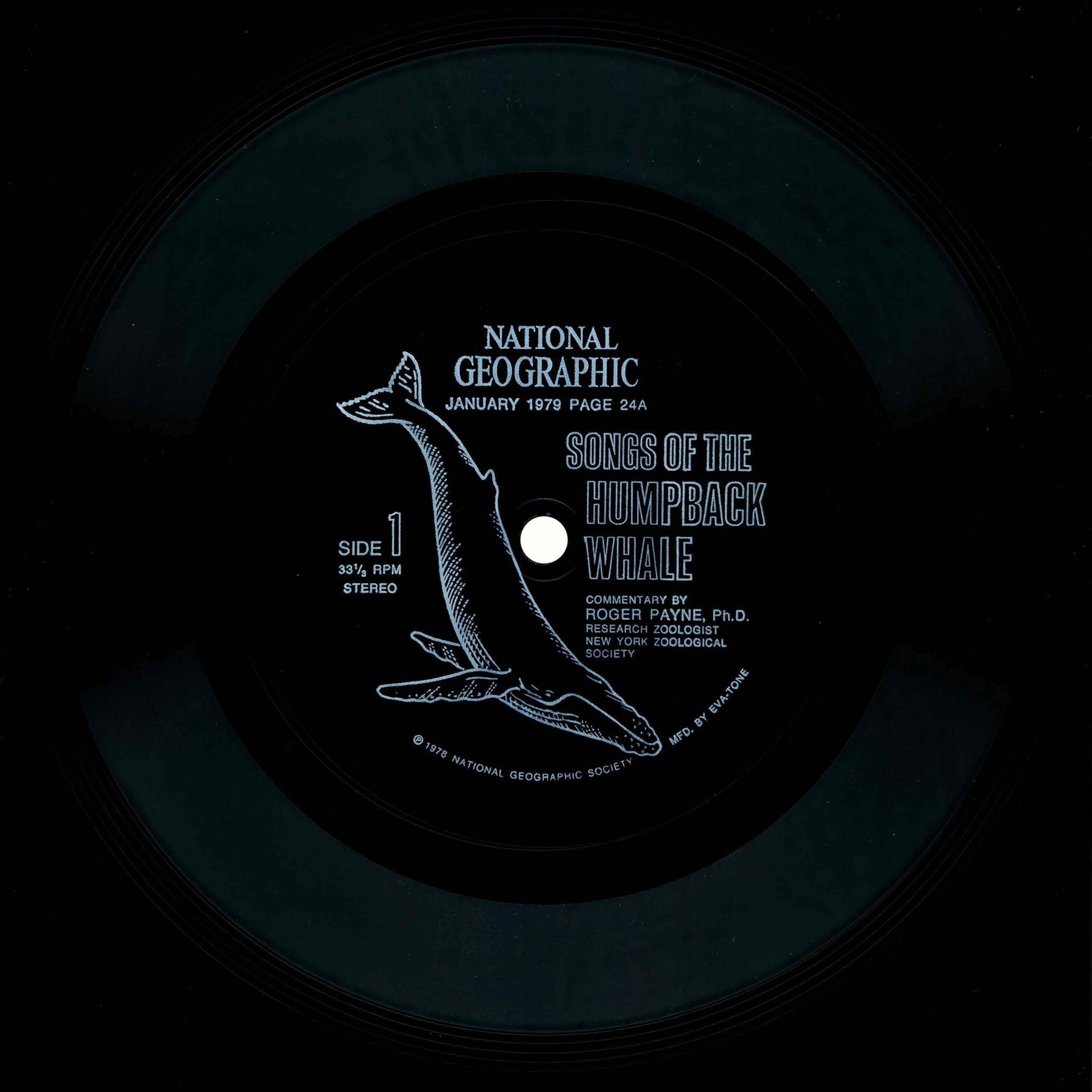 “Songs of the Humpback Whale” record.