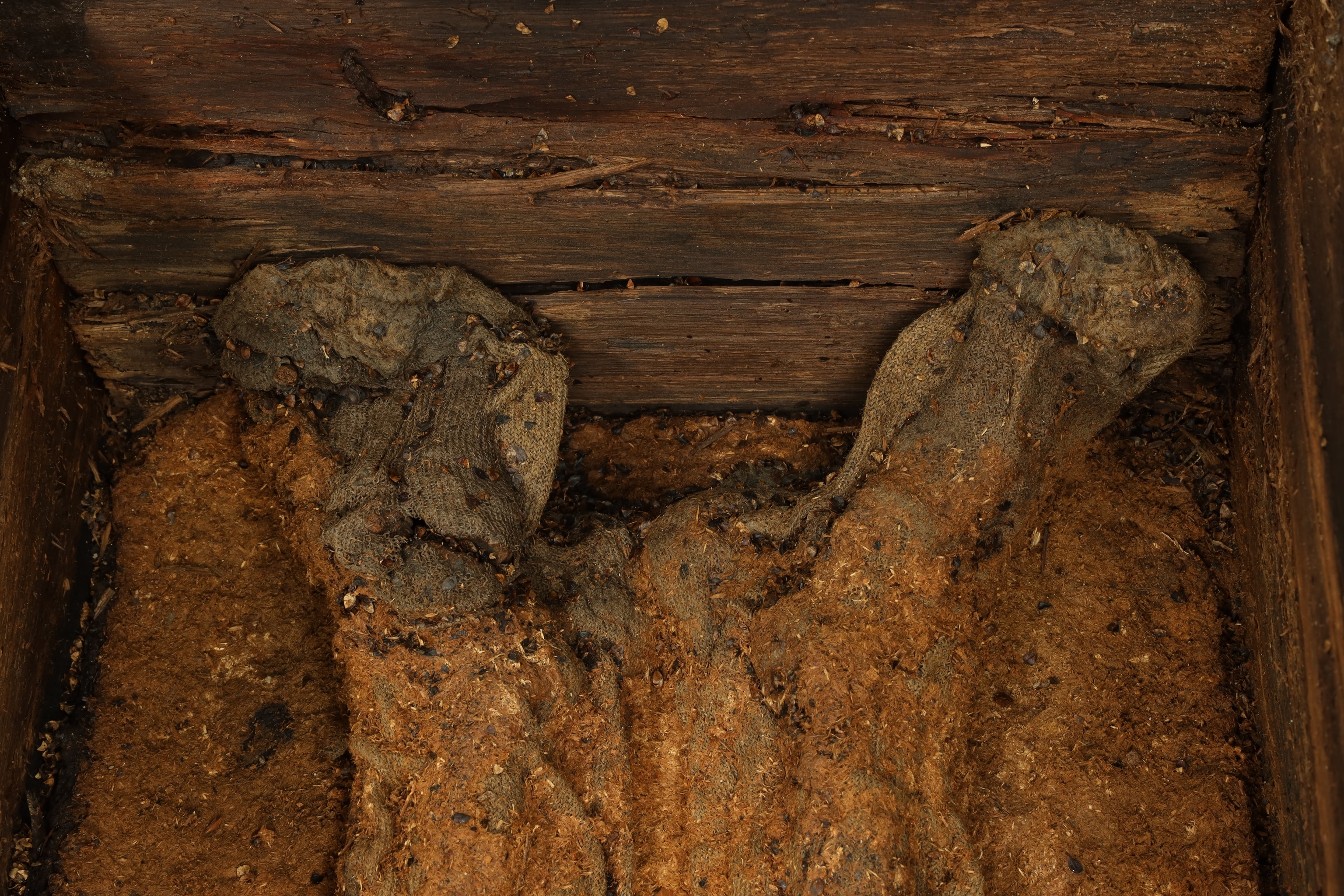 Wool stocks on the feet of a skeleton lying in a wooden coffin