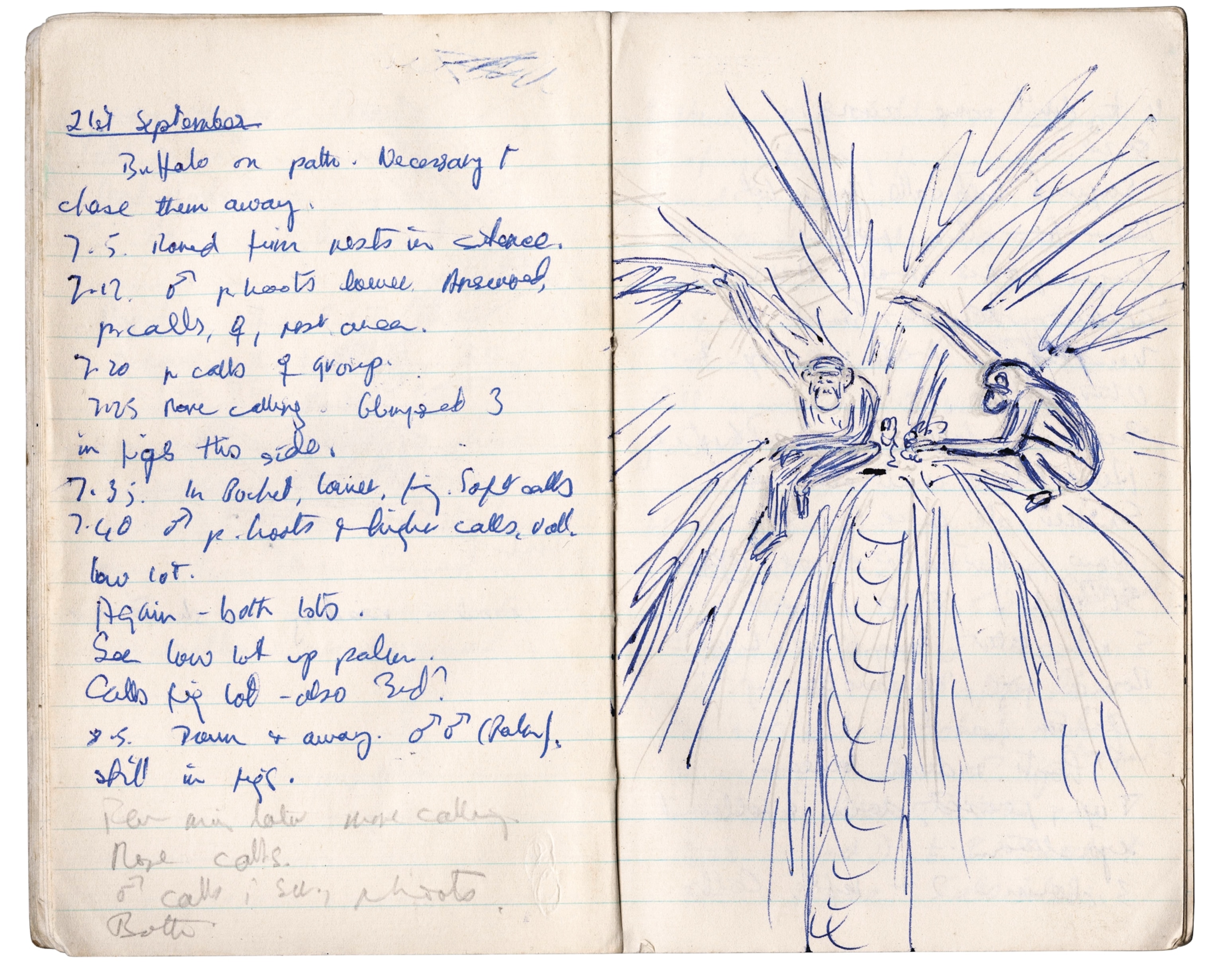 Notebook page with notes and sketches.