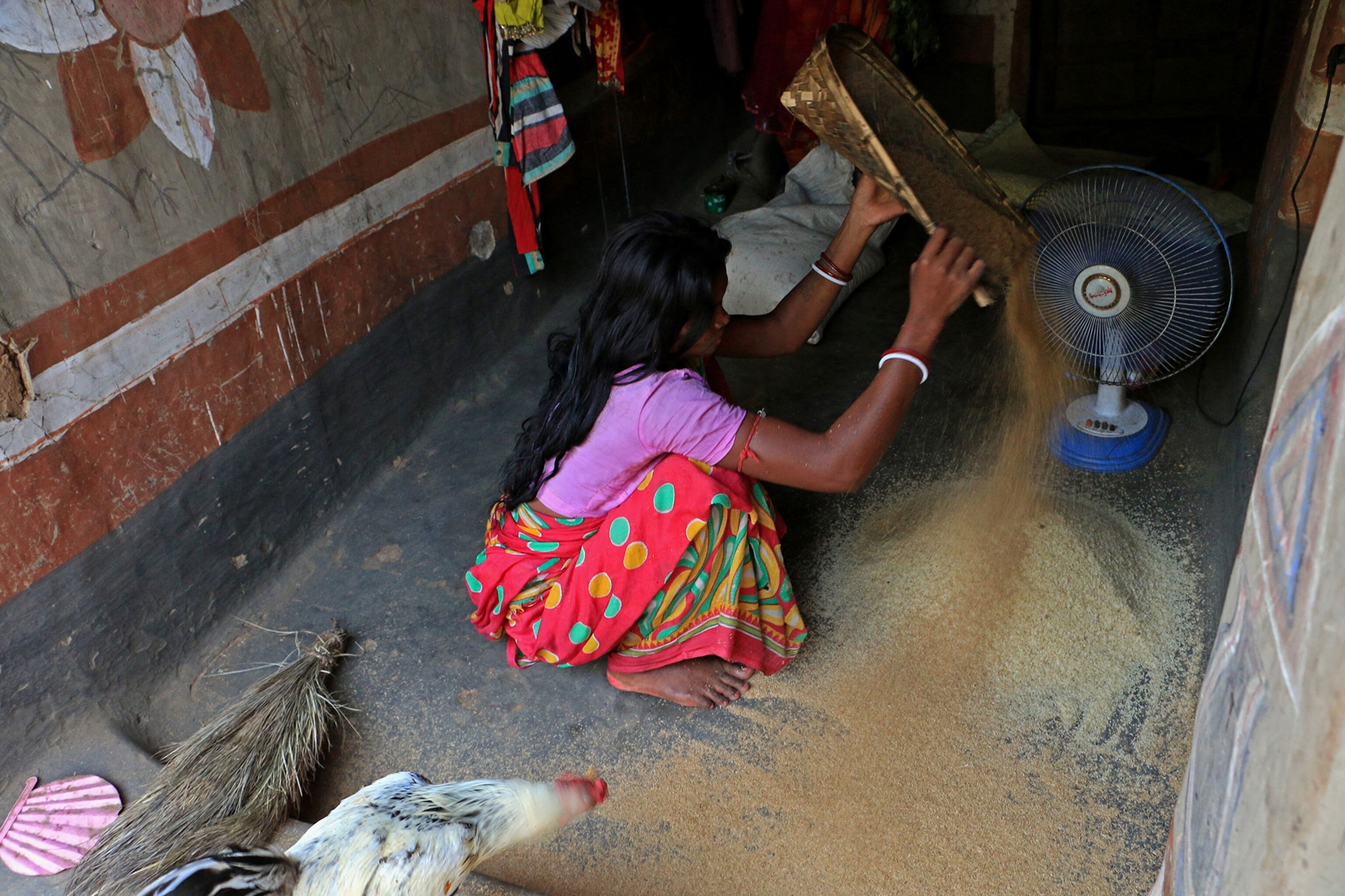 a village women cleaning rice husks by electric fan.