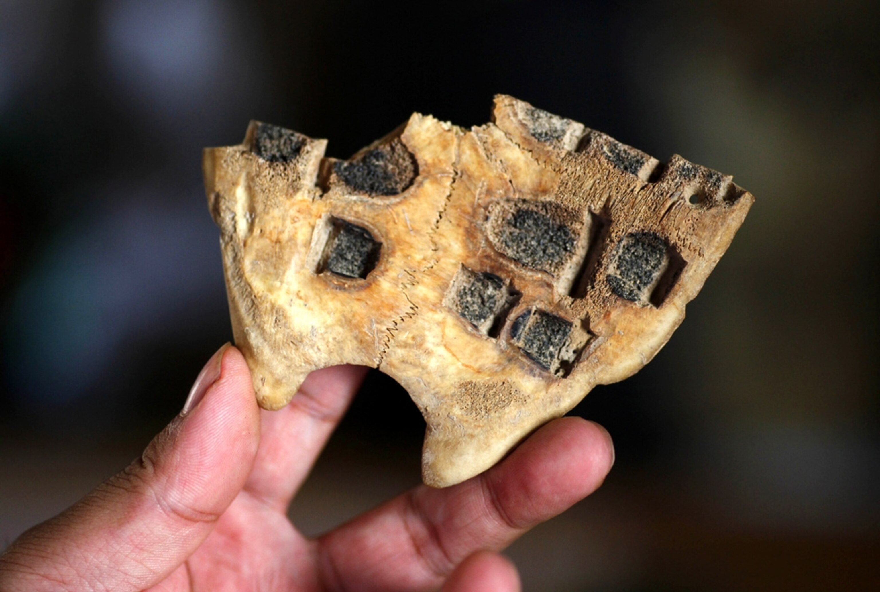 tortoise shell from ancient China