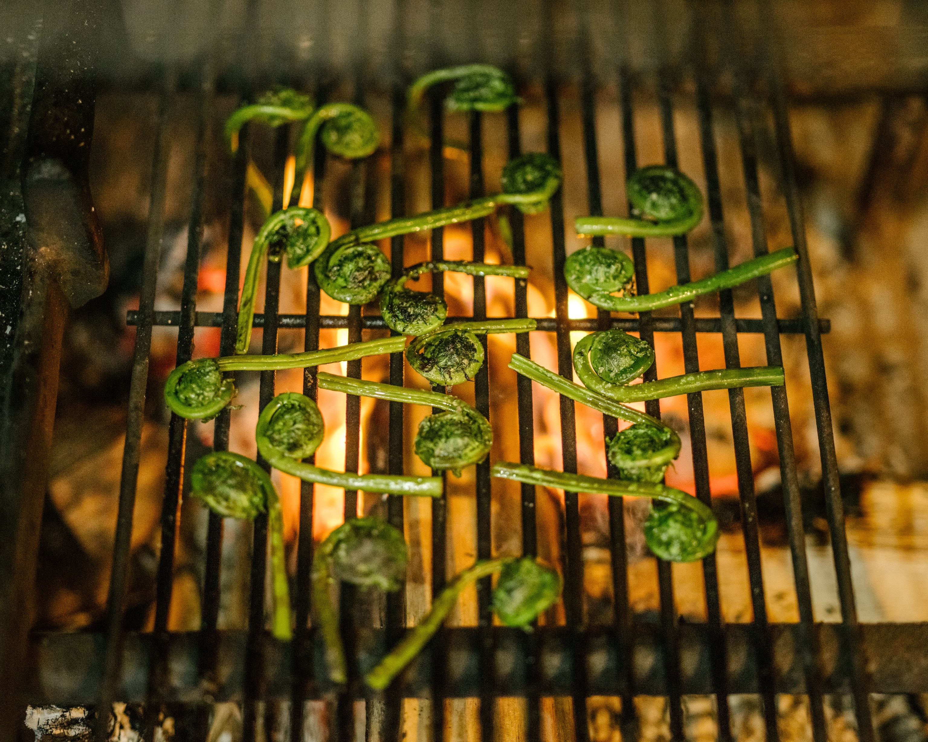 Fiddlehead heads