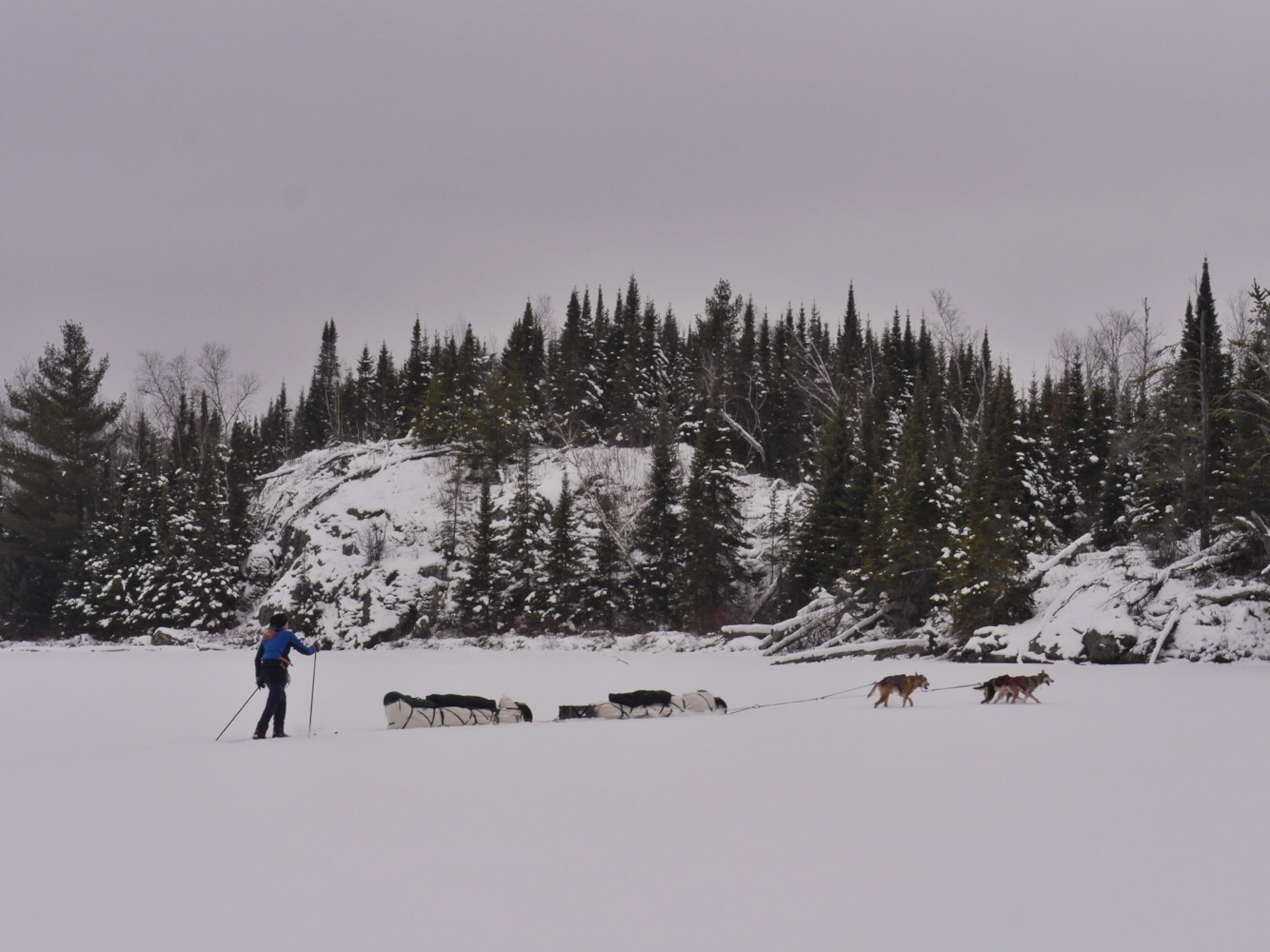 Amy skis behind the team as they haul our supplies across Wood Lake in the Boundary Waters Canoe Area Wilderness. Photo by: Dave Freeman