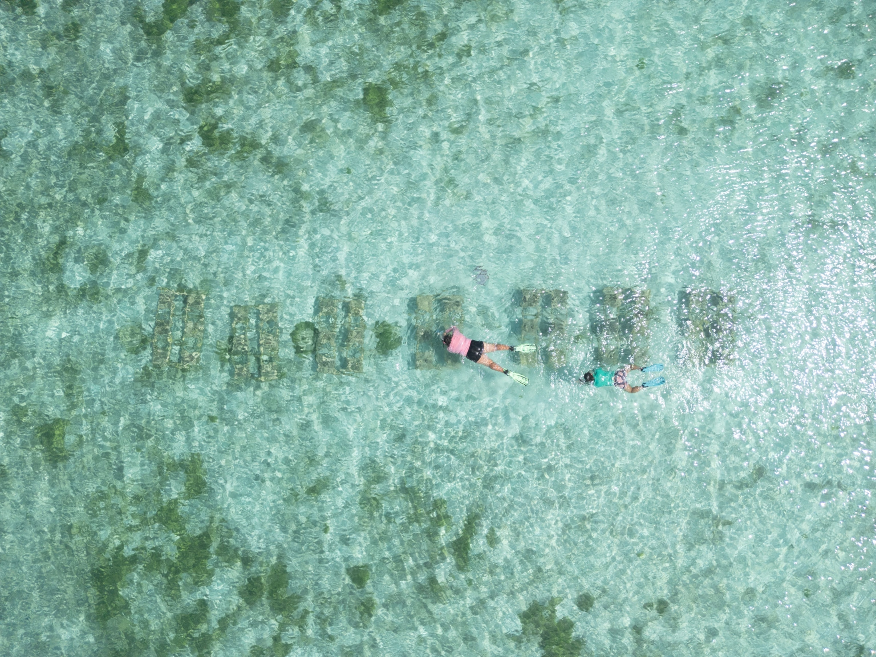 Aerial view of National Geographic Explorer Anya Brown checking in on the coral nursery in Rarotonga, Cook Islands.