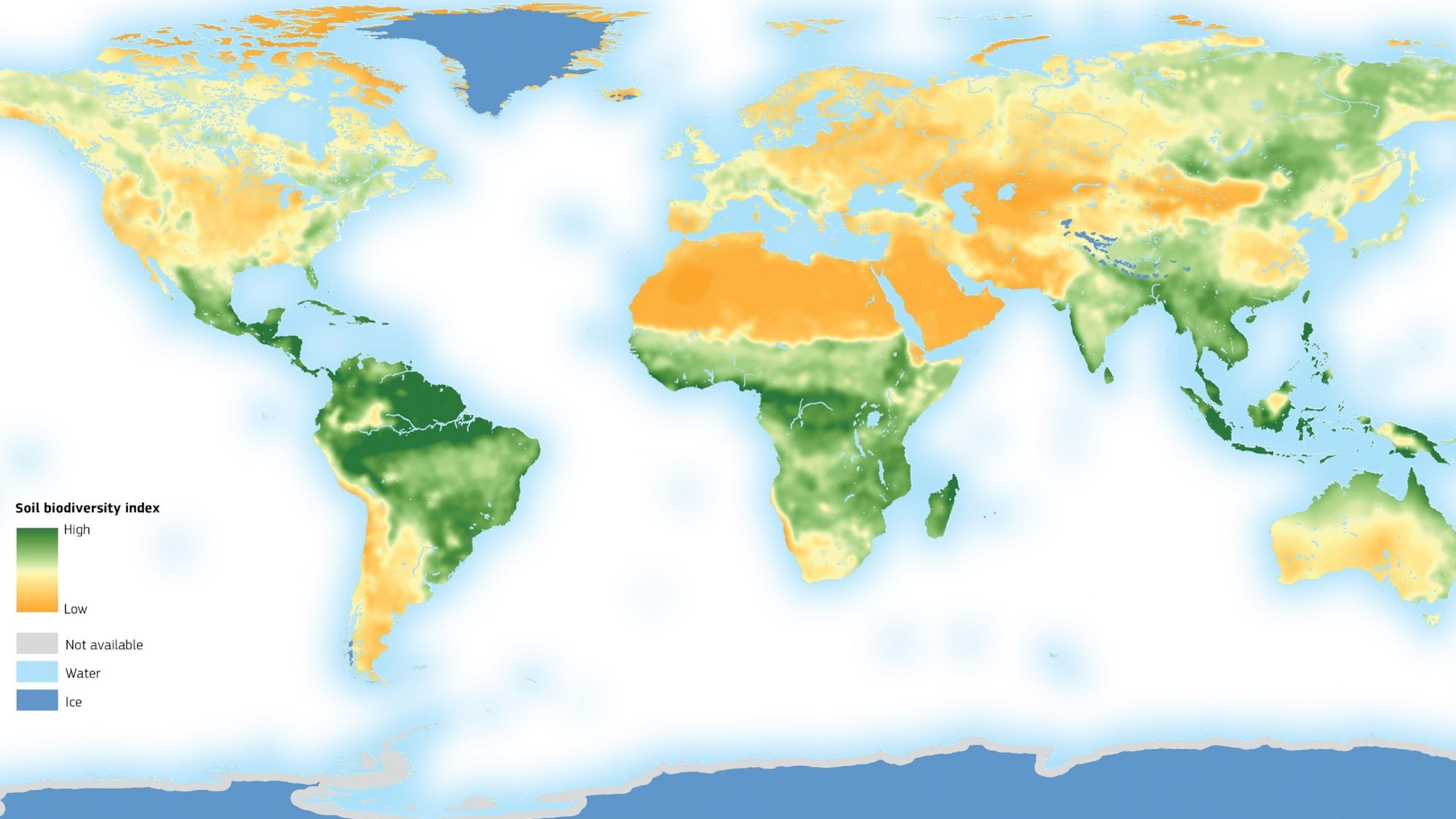 Biodiversity Map Of The World Mapping The Creatures Living Beneath Our Feet
