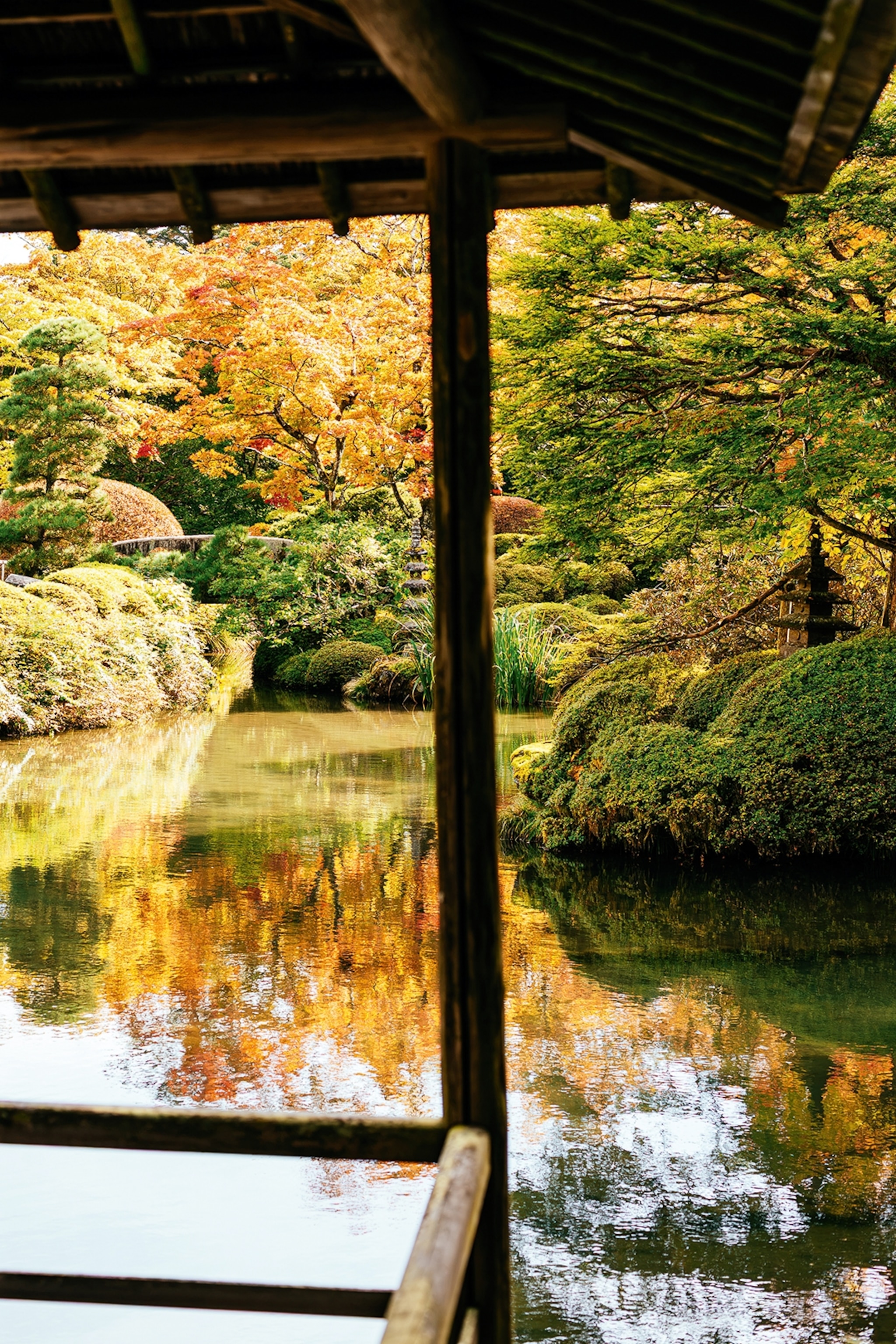 A serene pond from the terrace of a shrine, overlooking swooping trees with golden foliage.