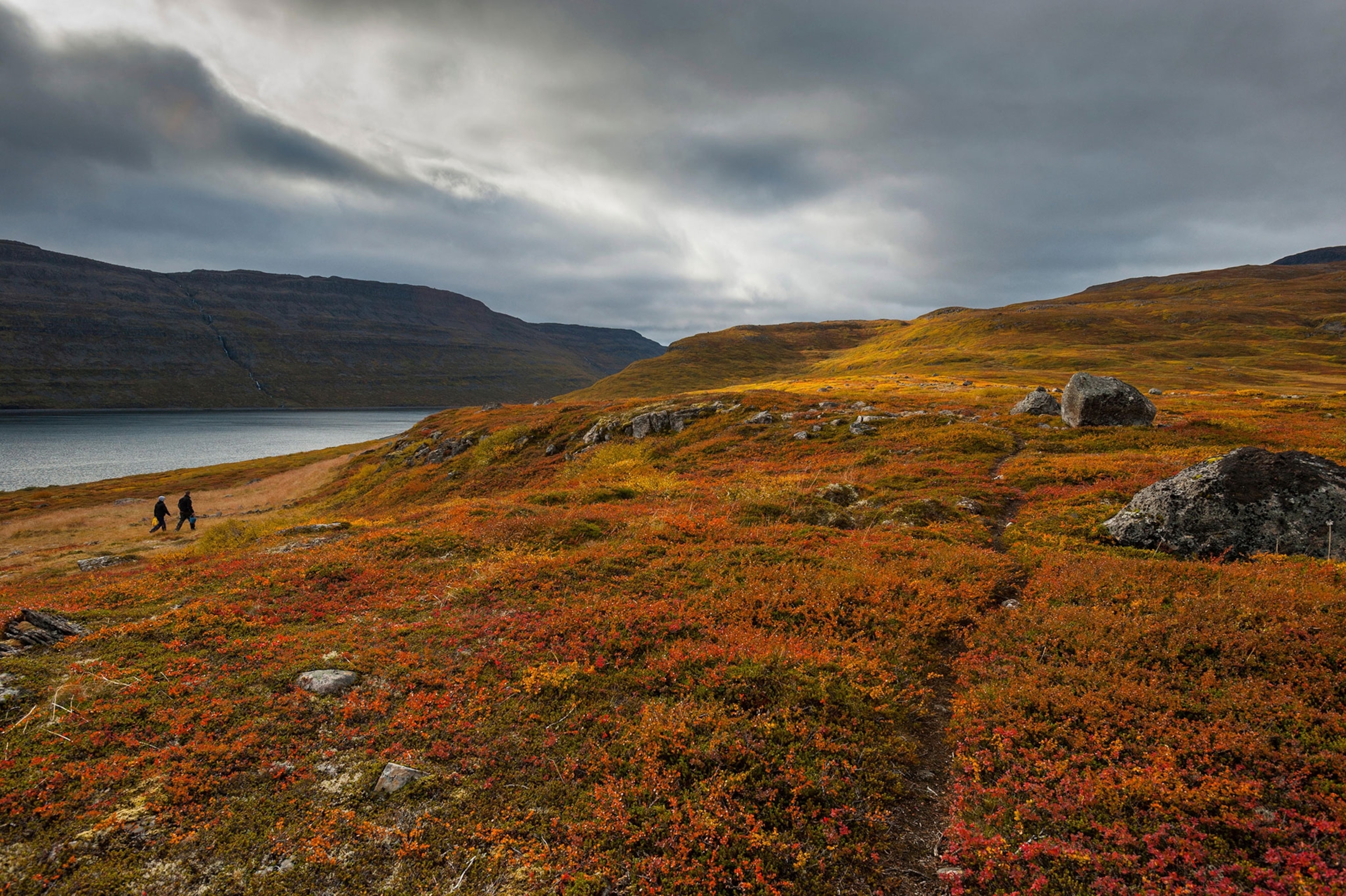a hiker in Hornstrandir, Westfjords, Iceland