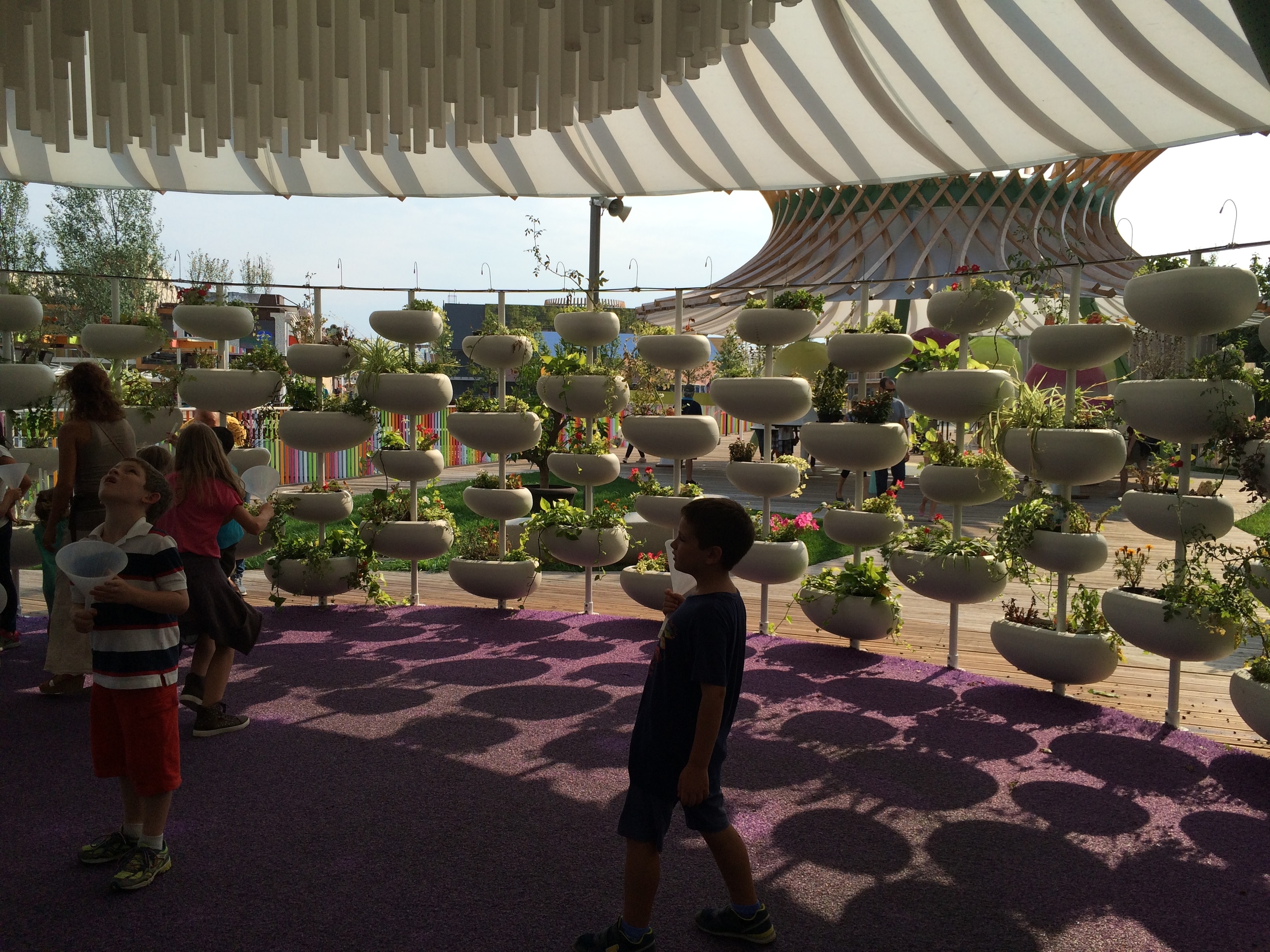 This plant wall delights in Reggio Children's Park at Milan Expo 2015. Photograph by Mary Beth Albright