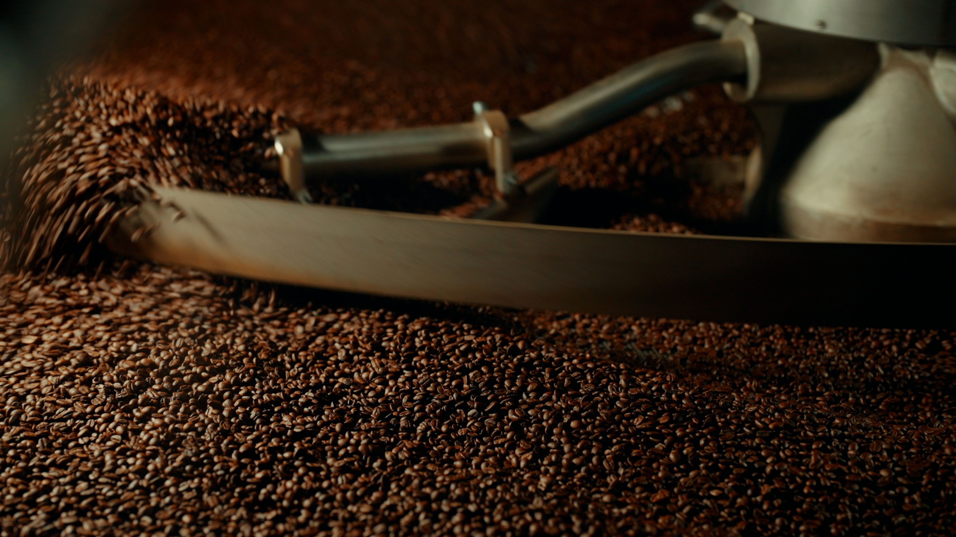 A metal paddle stirs freshly roasted coffee beans inside a roasting machine.