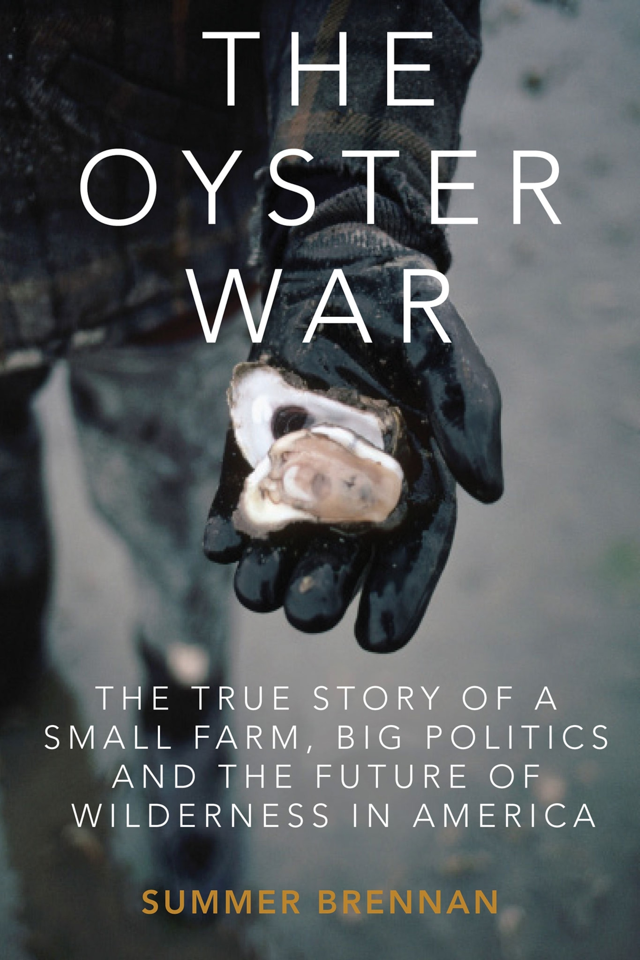 the cover of The Oyster War by Summer Brennan