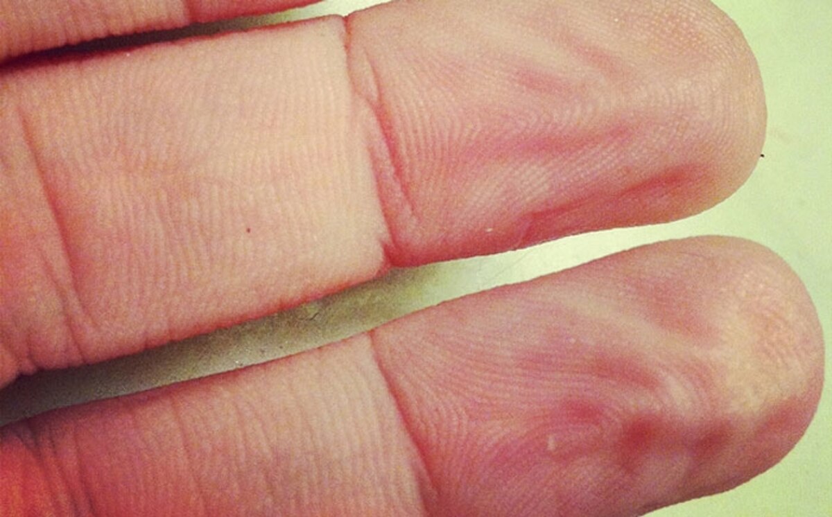 Debate did wrinkled fingers evolve for better grip?