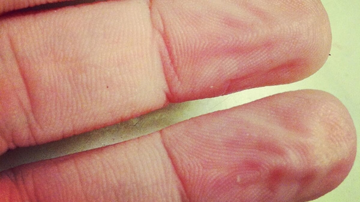 Debate did wrinkled fingers evolve for better grip?