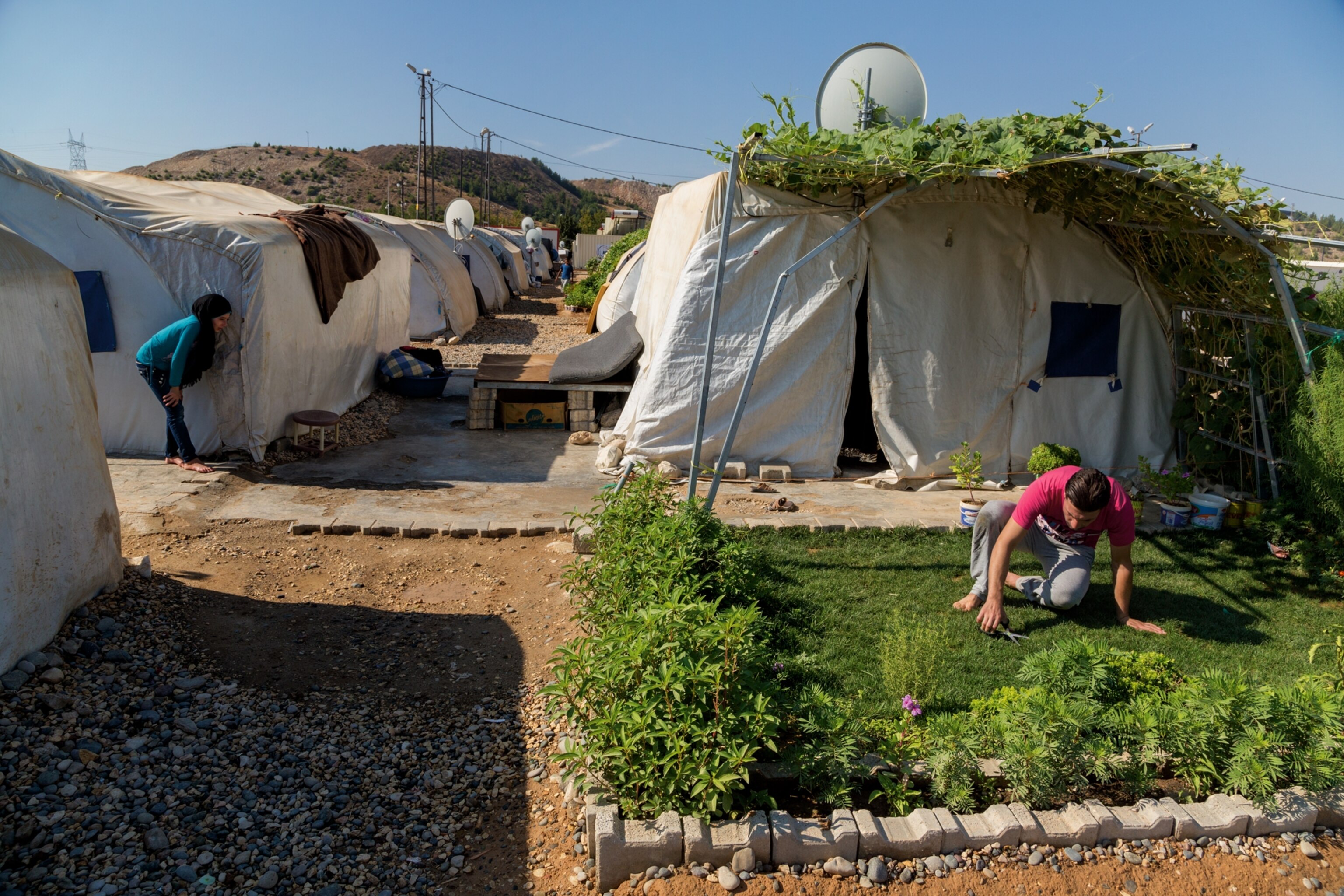 a Syrian refugee tending to a camp garden