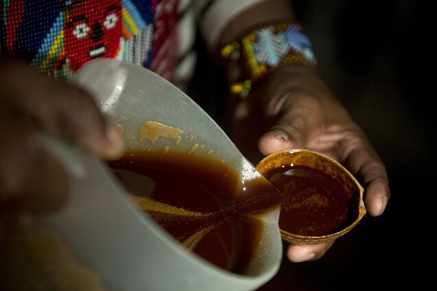 Ancient hallucinogens found in 1,000-year-old shamanic pouch | Nat Geo 97 people performing ayahuasca ceremonies