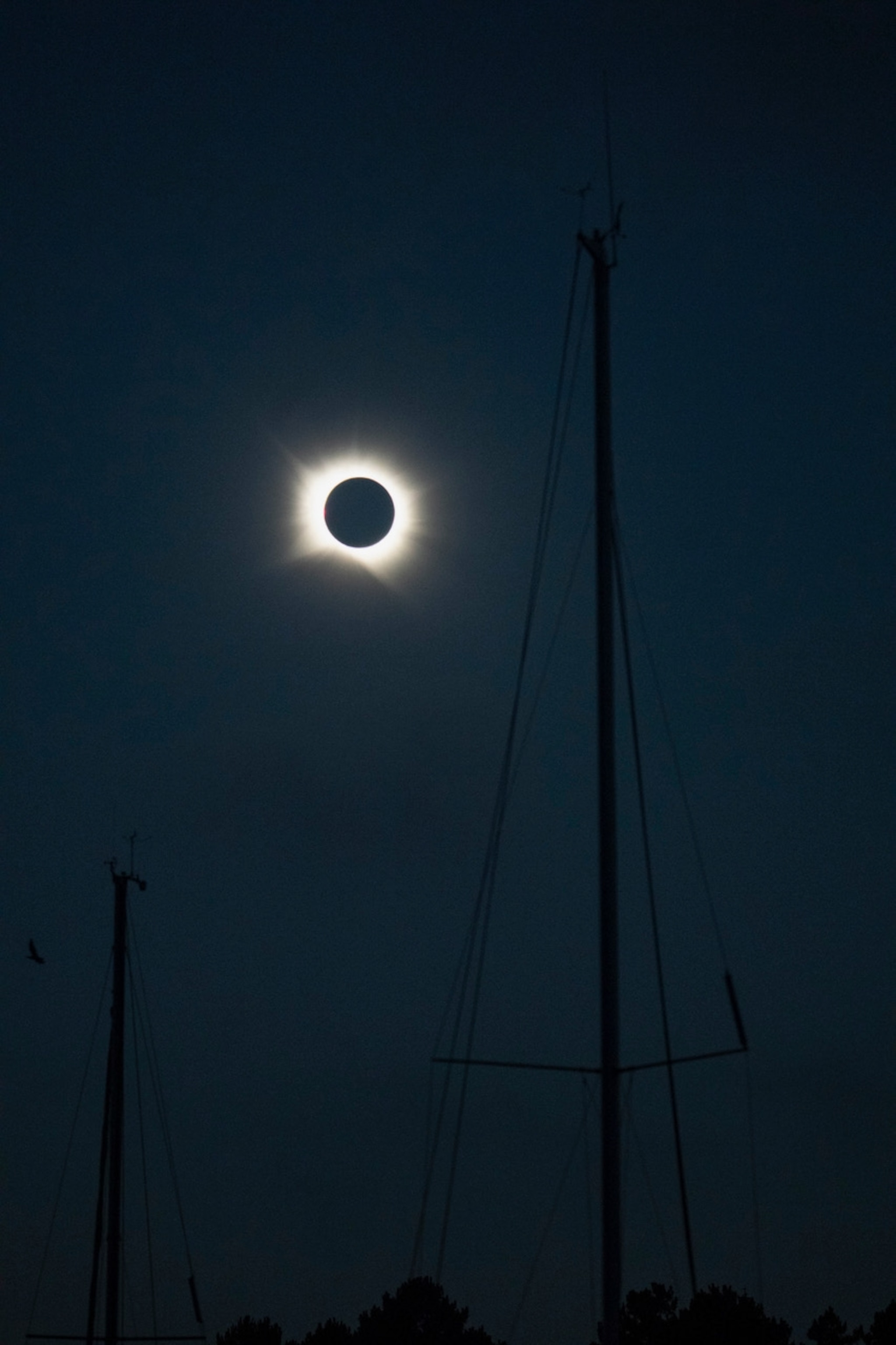 A total solar eclipse sits in the darkened sky, framed by silhouetted sailboat masts and rigging
