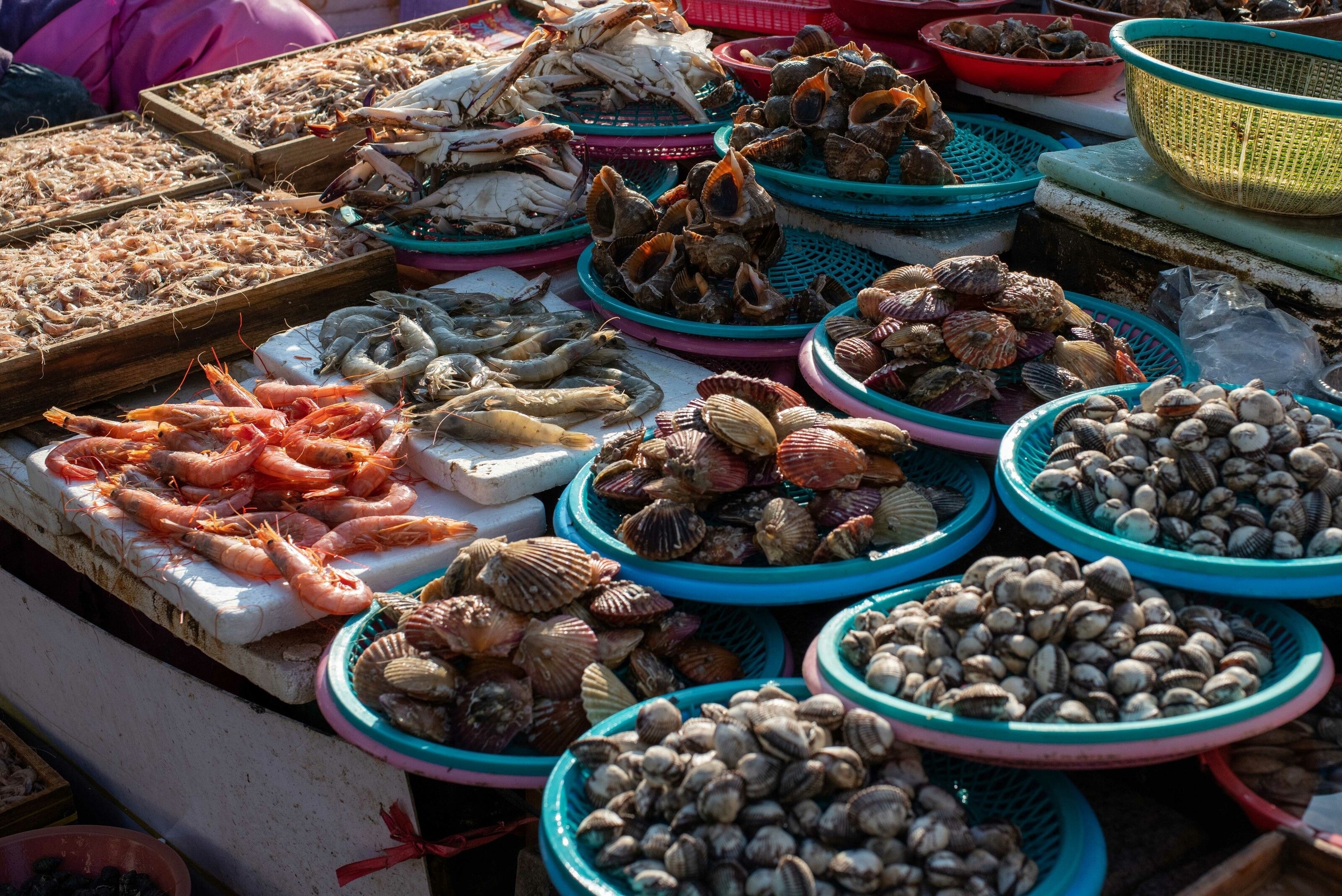 An array of seafood at a market.