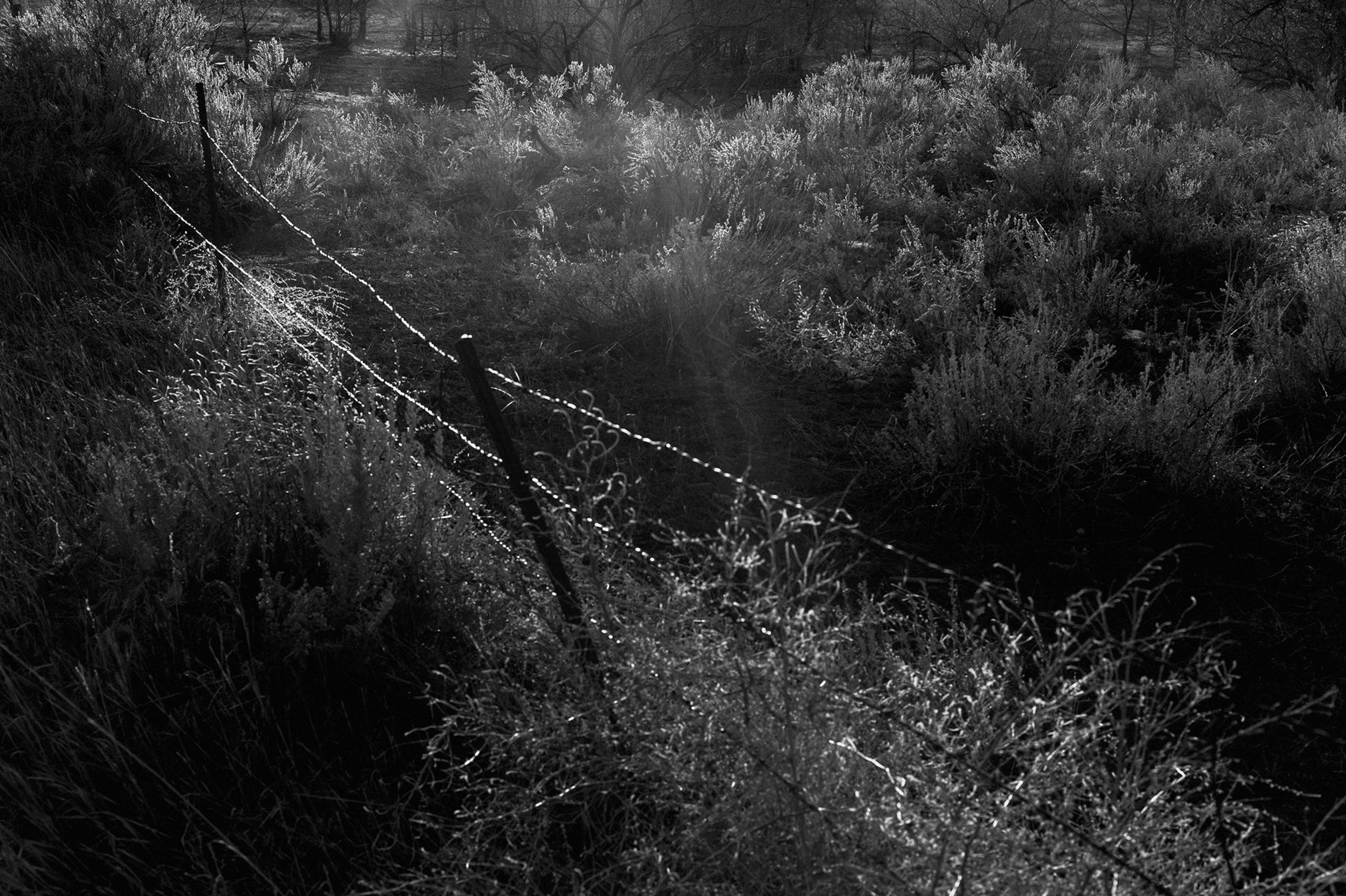 Bad Route Road, eastern Montana. (2013)