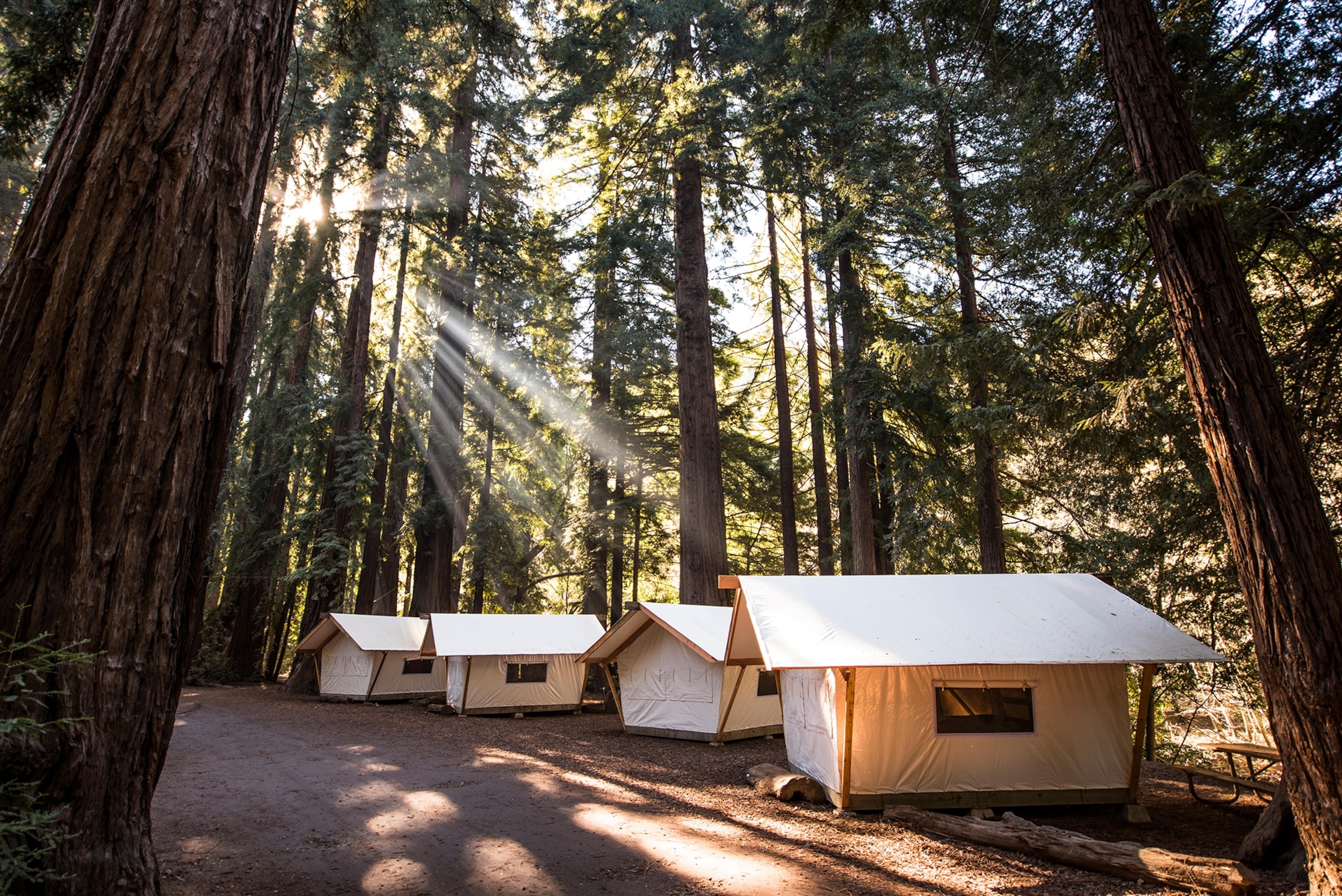 Cabins in the woods with rays of light.