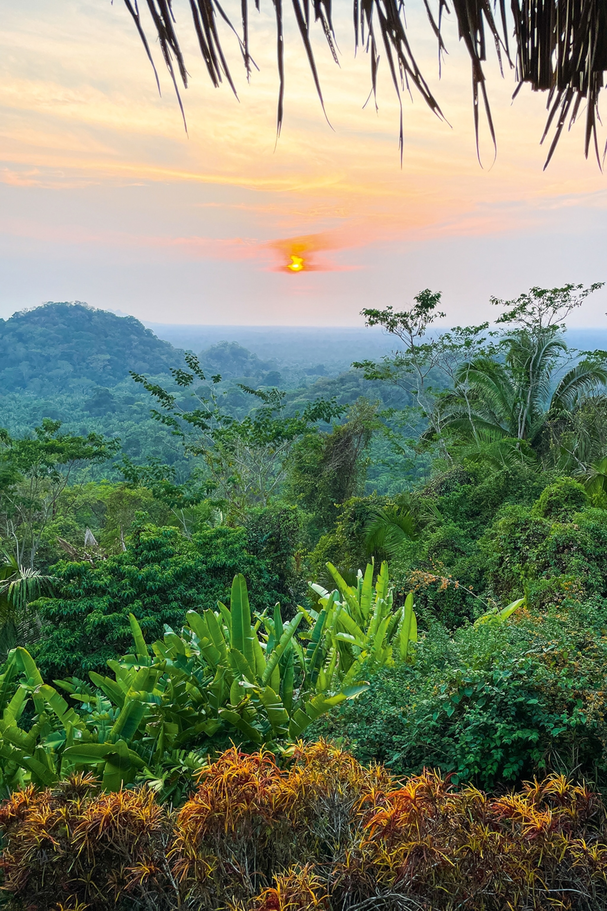 An immersive, hill-side view over a tropical forest with the sun rising in the distance.