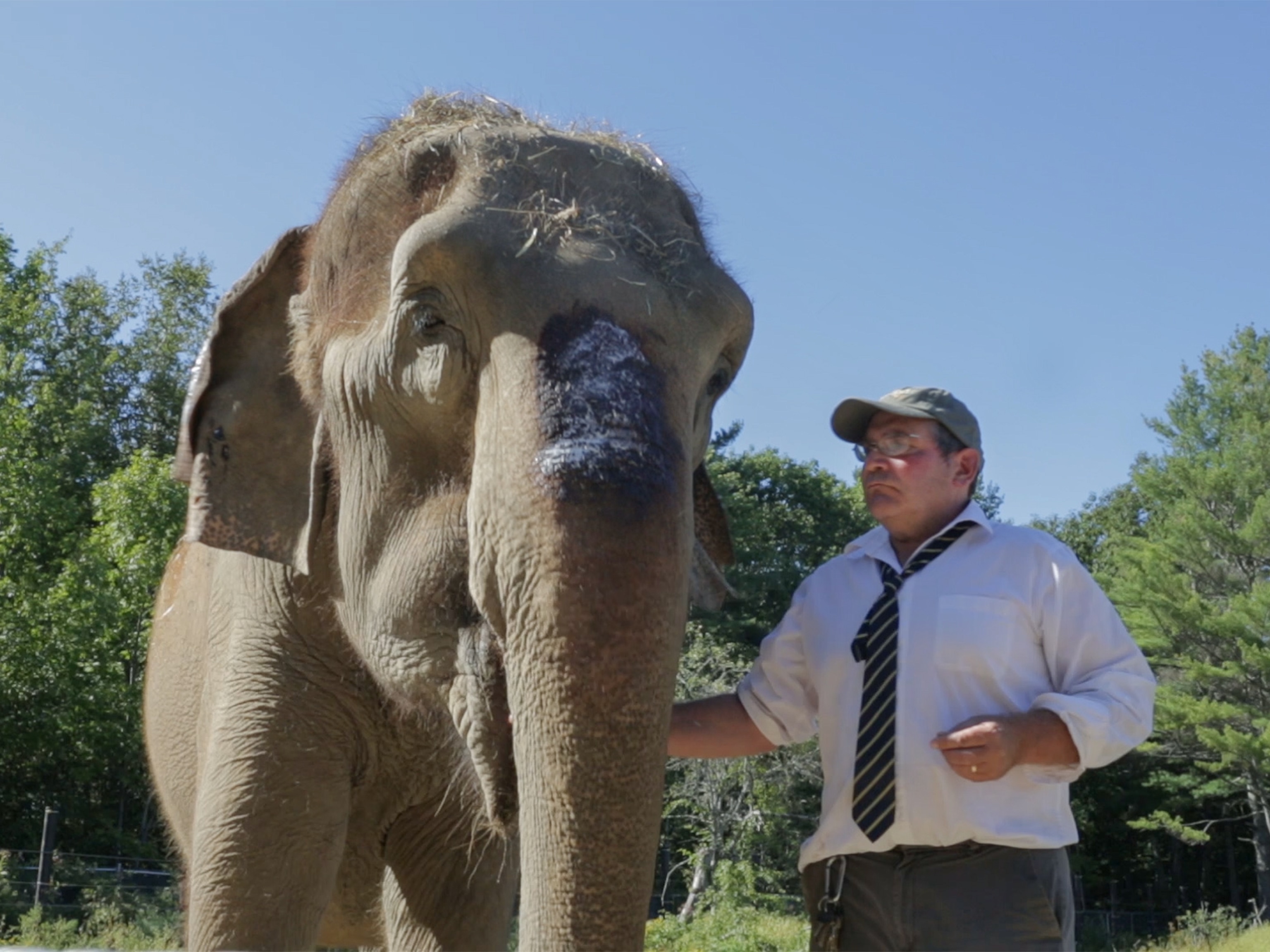 James Laurita with an elephant at his sanctuary before his death.
