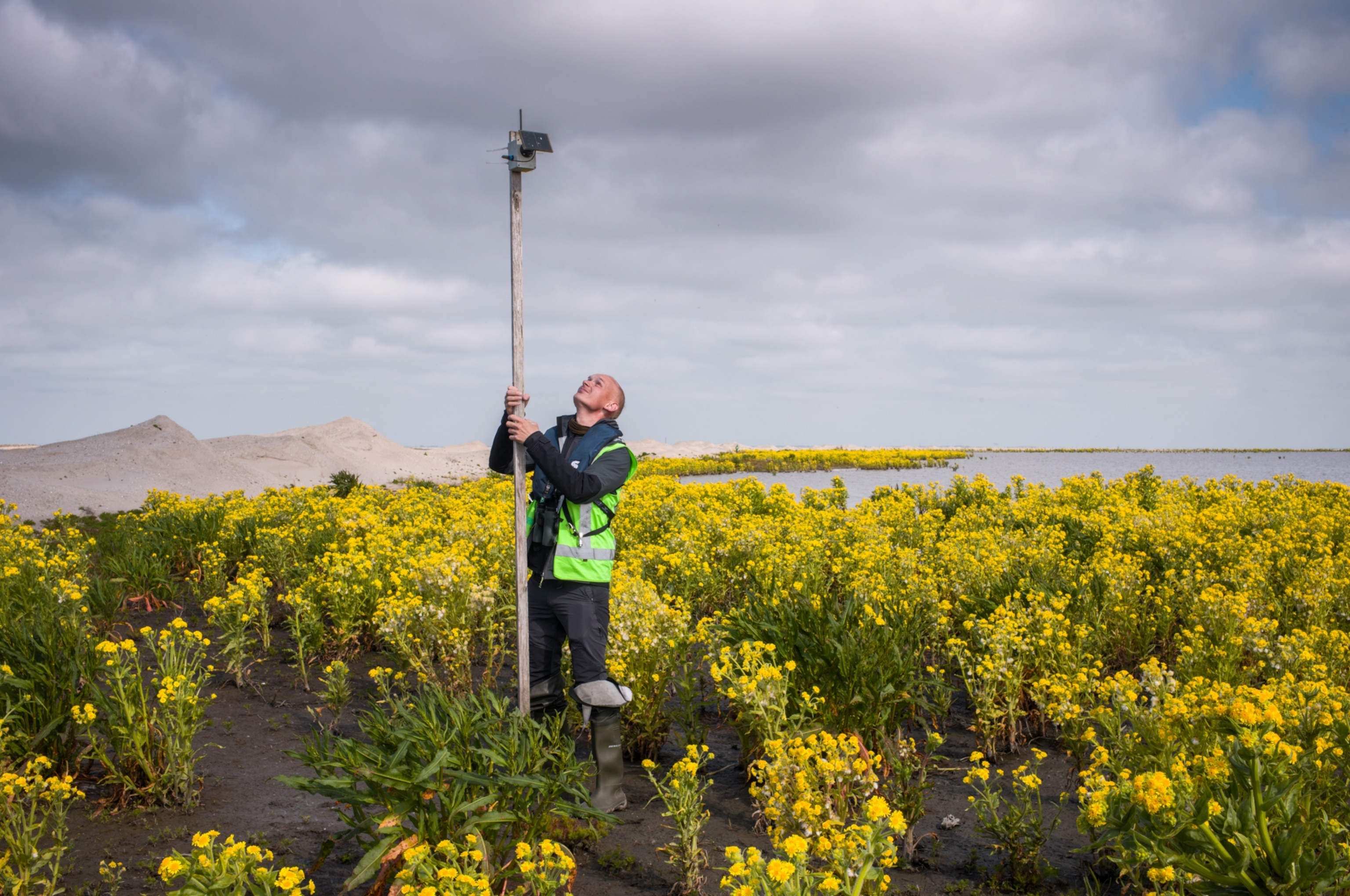 A man holding an antenna up on an island.