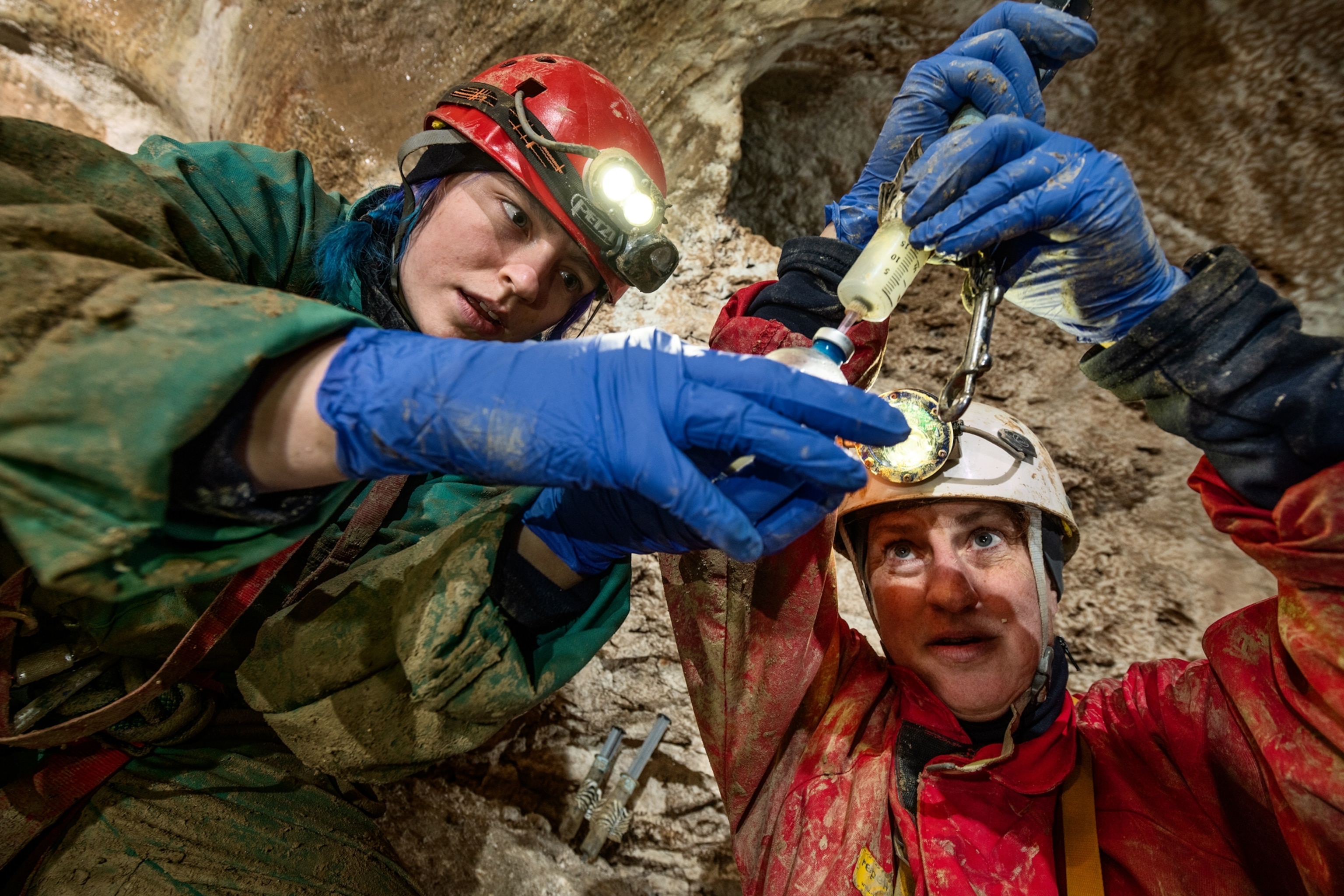 Two people in hardhats with headlights manipulating with biospecimens.