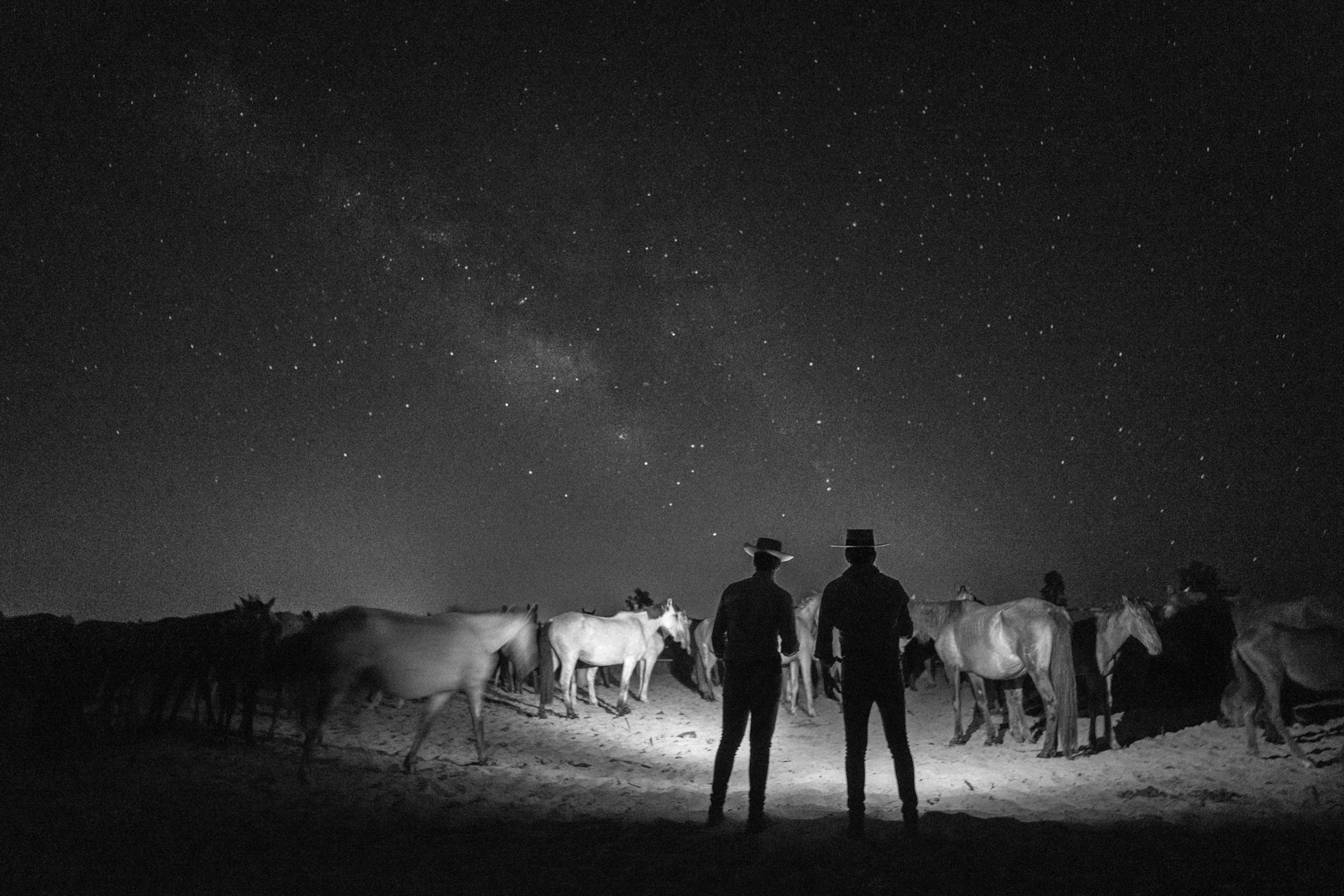 Two people look at horses with a starry night sky behind them.