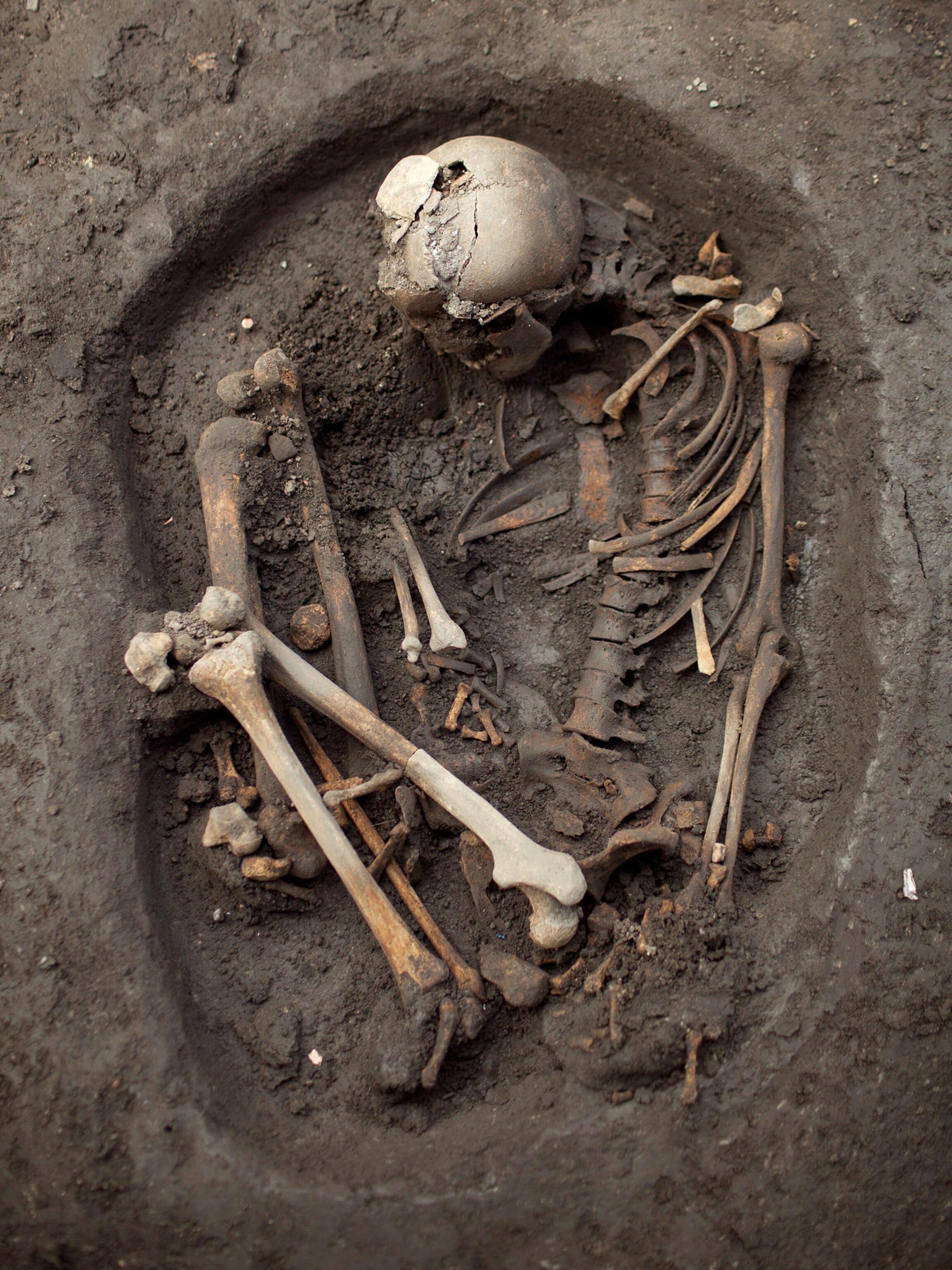 Aztec picture: skeleton in Mexico City