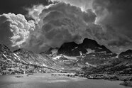 Ansel Adams Tree Wallpaper Ansel Adams Tree Wallpaper