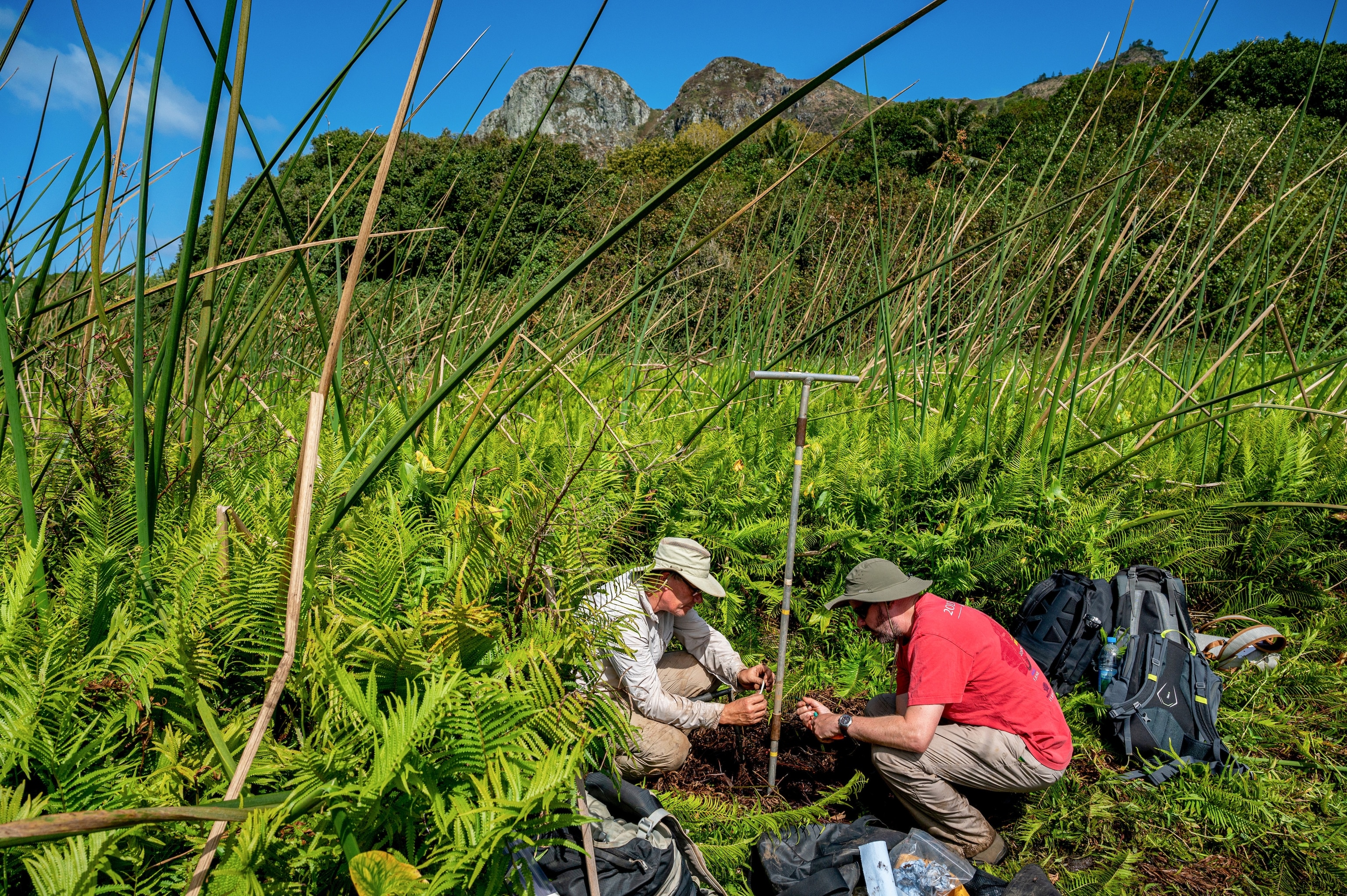 A person inspects a wrapped up core sample in the foreground as two other people in the background pull another core sample as another person watches.