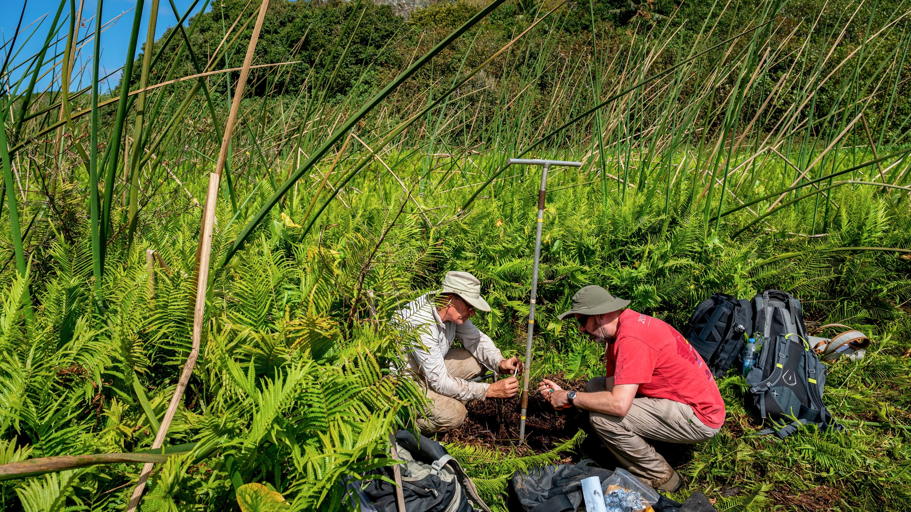 Ancient Polynesians Took a 1,700-Year Break From Voyaging. This Is Why They Returned to the Sea.