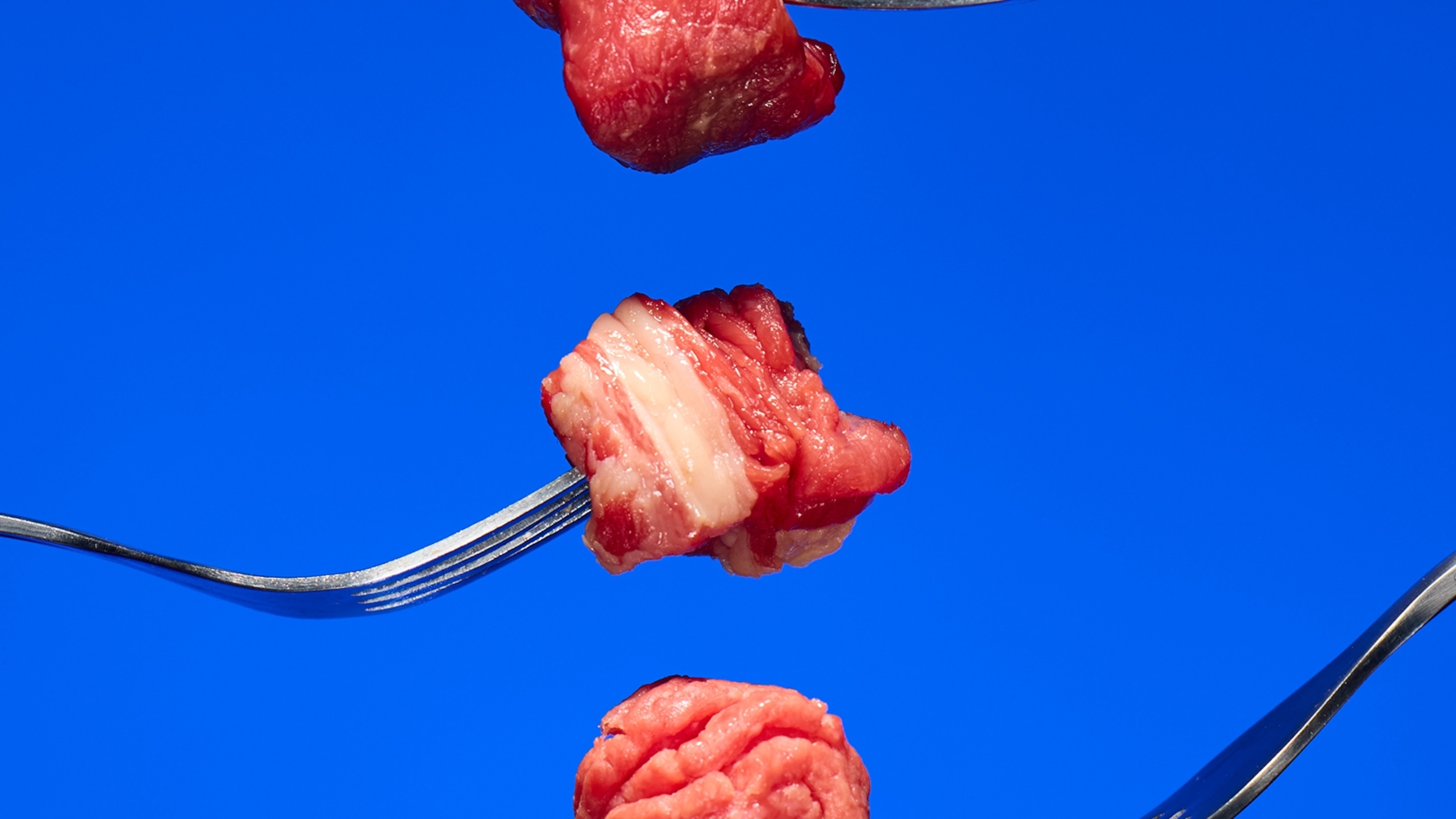 What the carnivore diet really does to your body